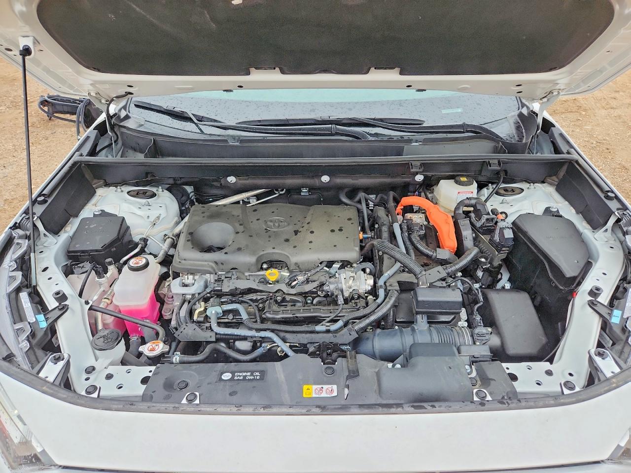 2025 Toyota Rav4 Le Белый vin: 4T3LWRFVXSU173056