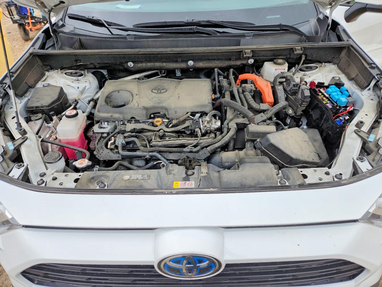 2022 Toyota Rav4 Xle Белый vin: 4T3RWRFV5NU064213