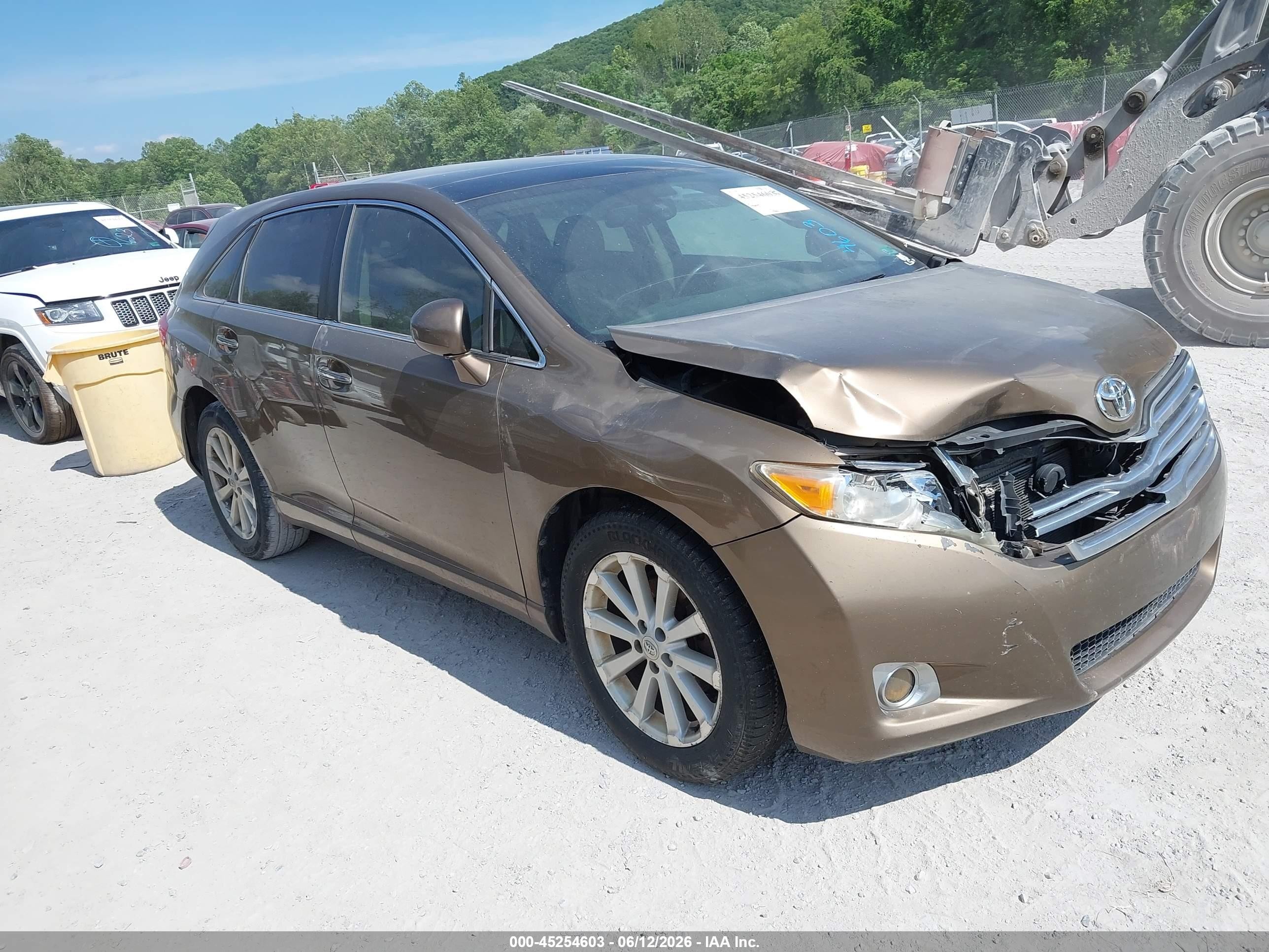 2009 Toyota Venza   Gold vin: 4T3ZE11A29U003786