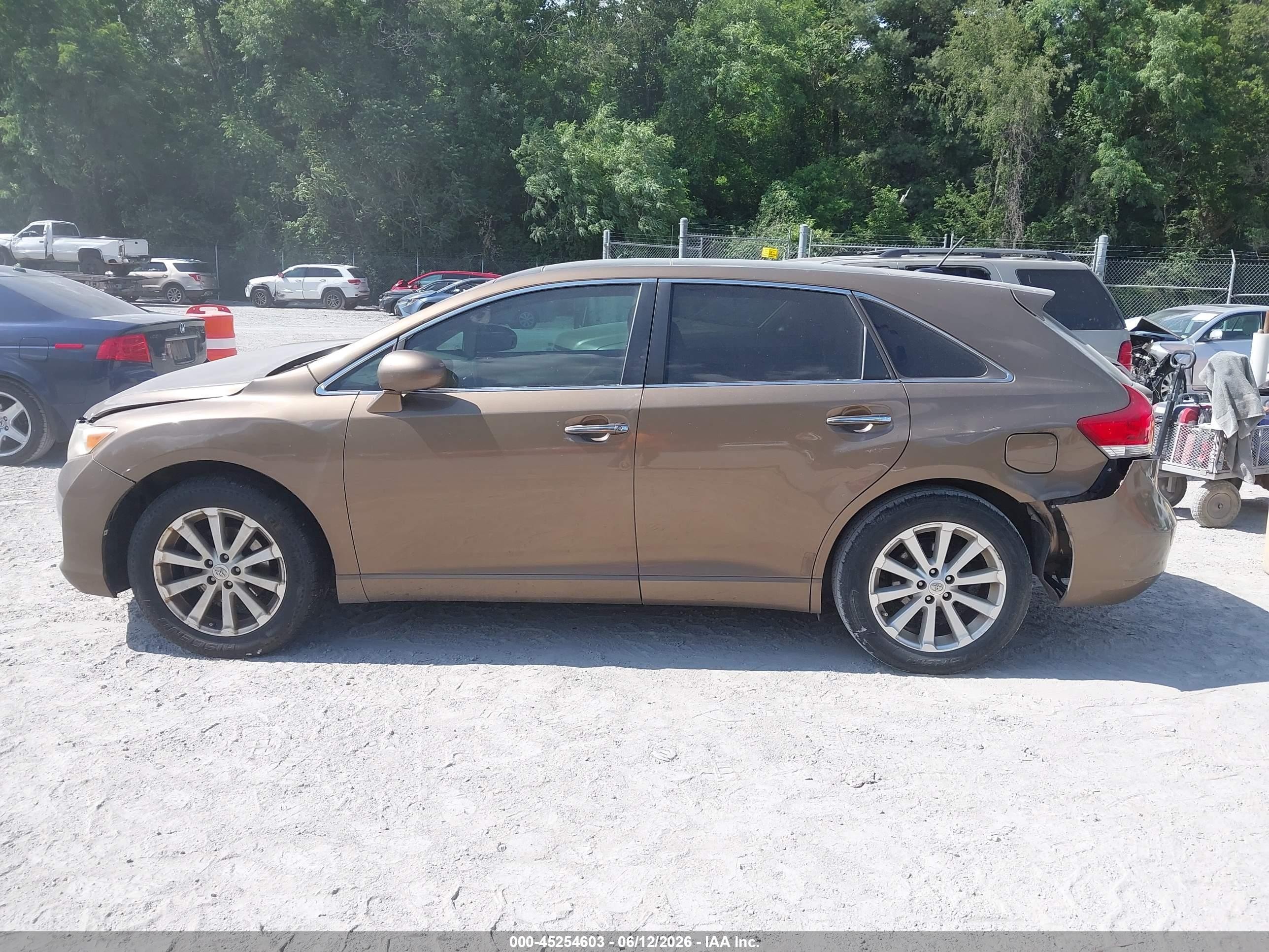 2009 Toyota Venza   Gold vin: 4T3ZE11A29U003786
