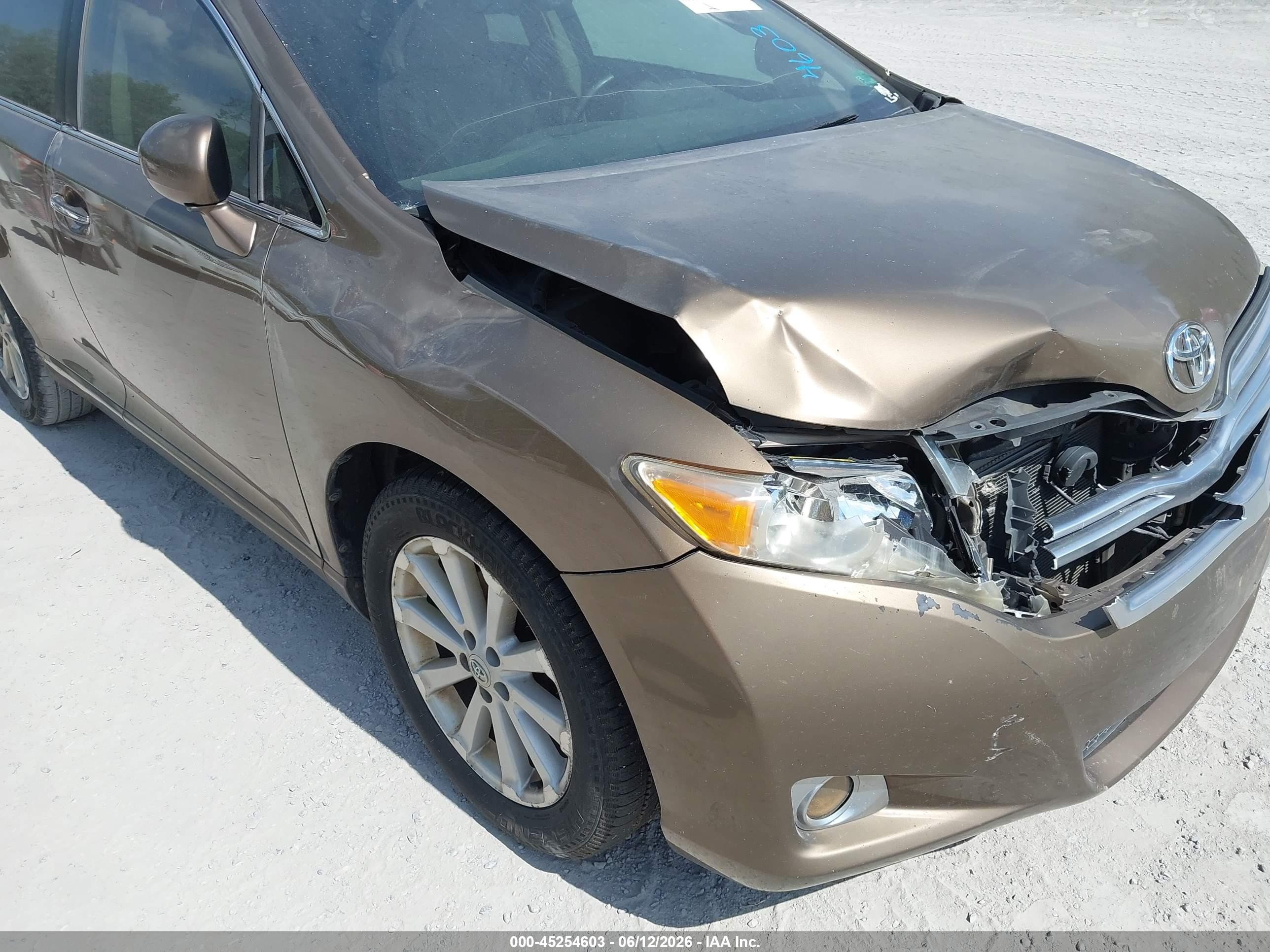 2009 Toyota Venza   Gold vin: 4T3ZE11A29U003786