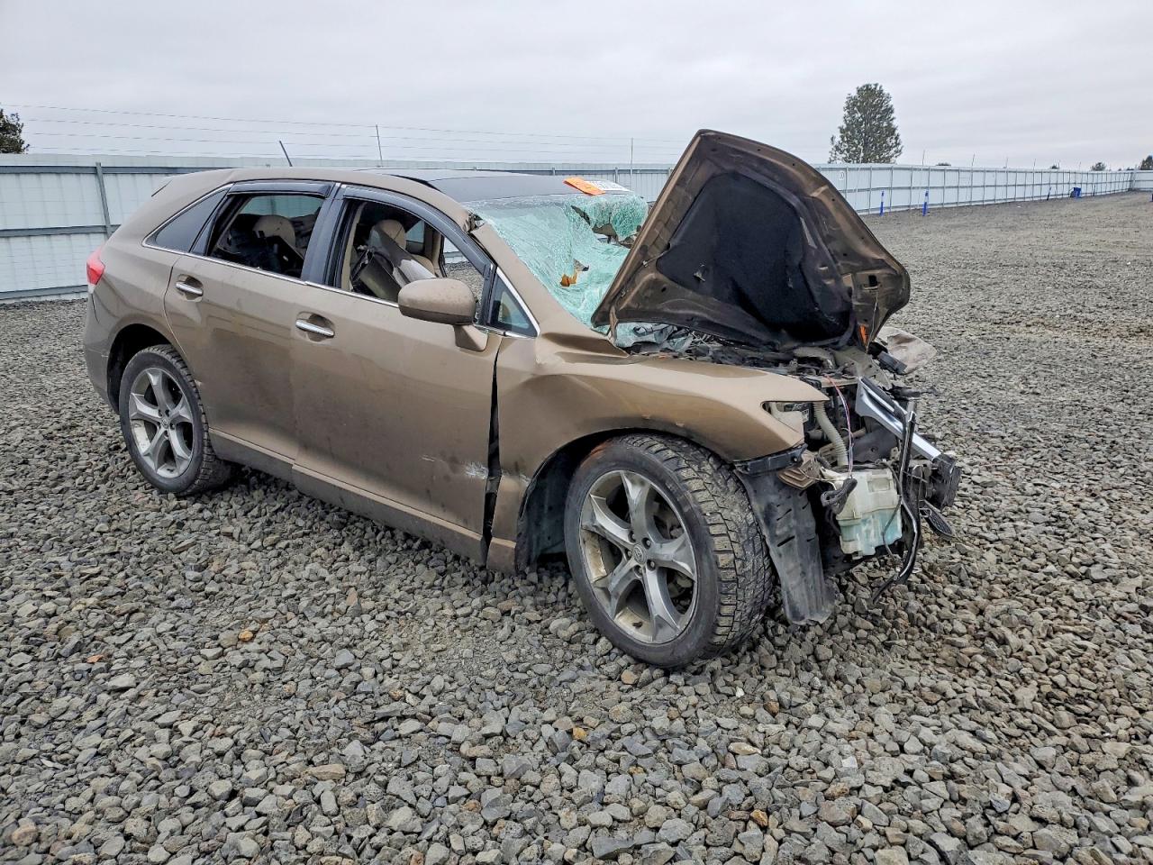 2010 Toyota Venza Tan vin: 4T3ZK3BB8AU023699