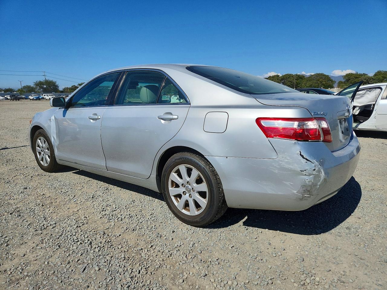 2009 Toyota Camry Xle Silver vin: 4T4BE46K19R099252