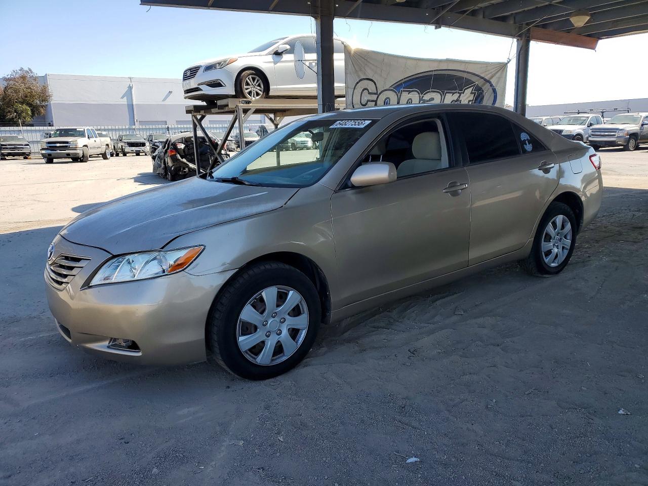 2009 Toyota Camry Le Желто-коричневый vin: 4T4BE46K19R099851