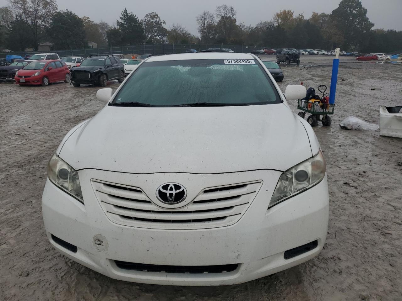2009 Toyota Camry Base Белый vin: 4T4BE46K19R102750