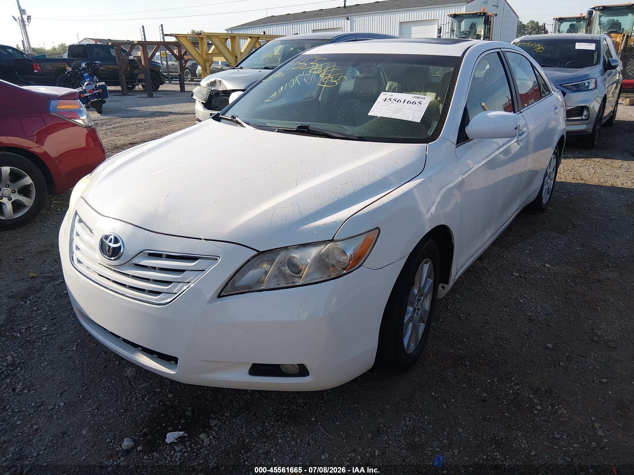 2009 Toyota Camry Xle White vin: 4T4BE46K39R051980