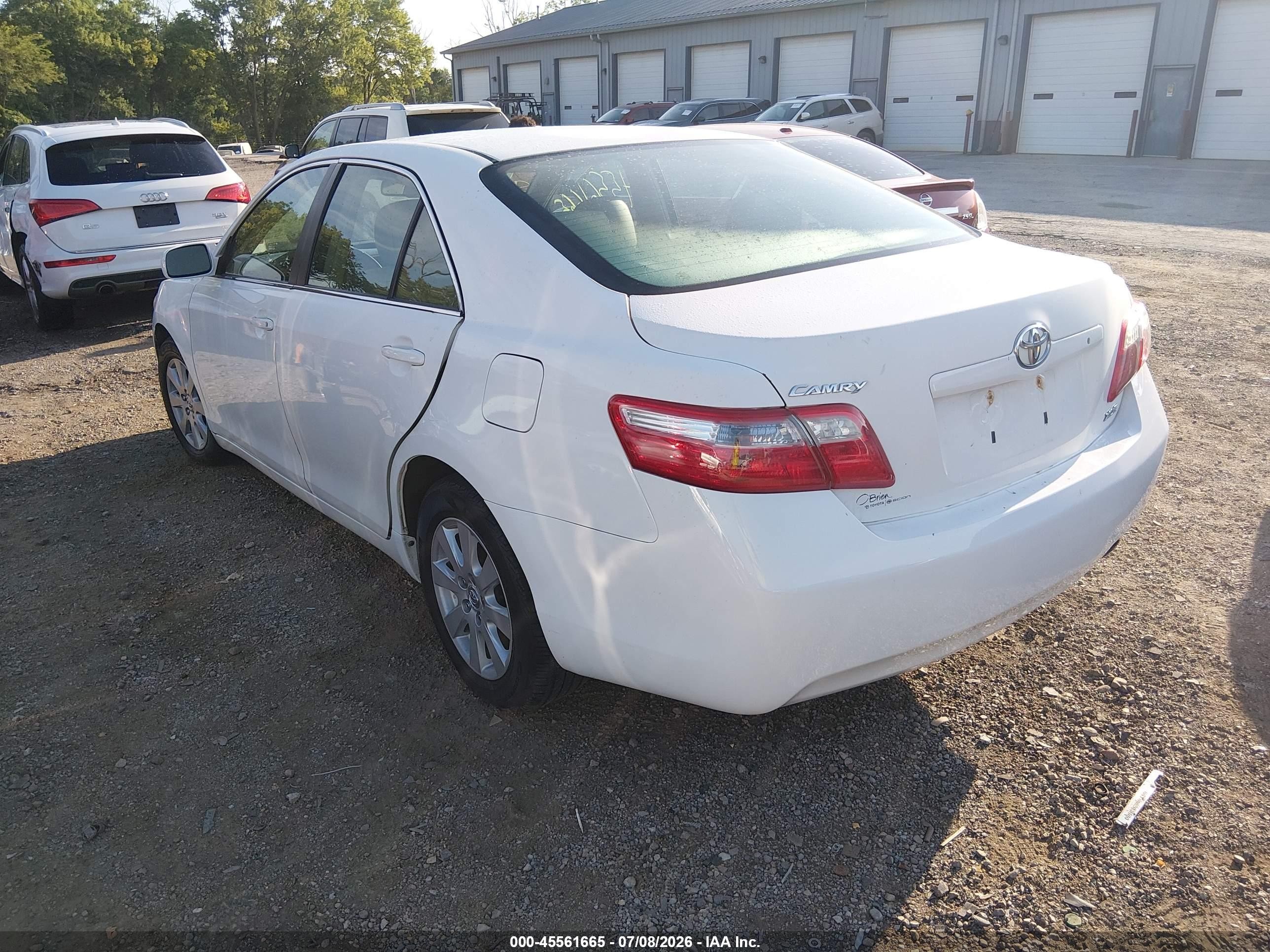 2009 Toyota Camry Xle White vin: 4T4BE46K39R051980