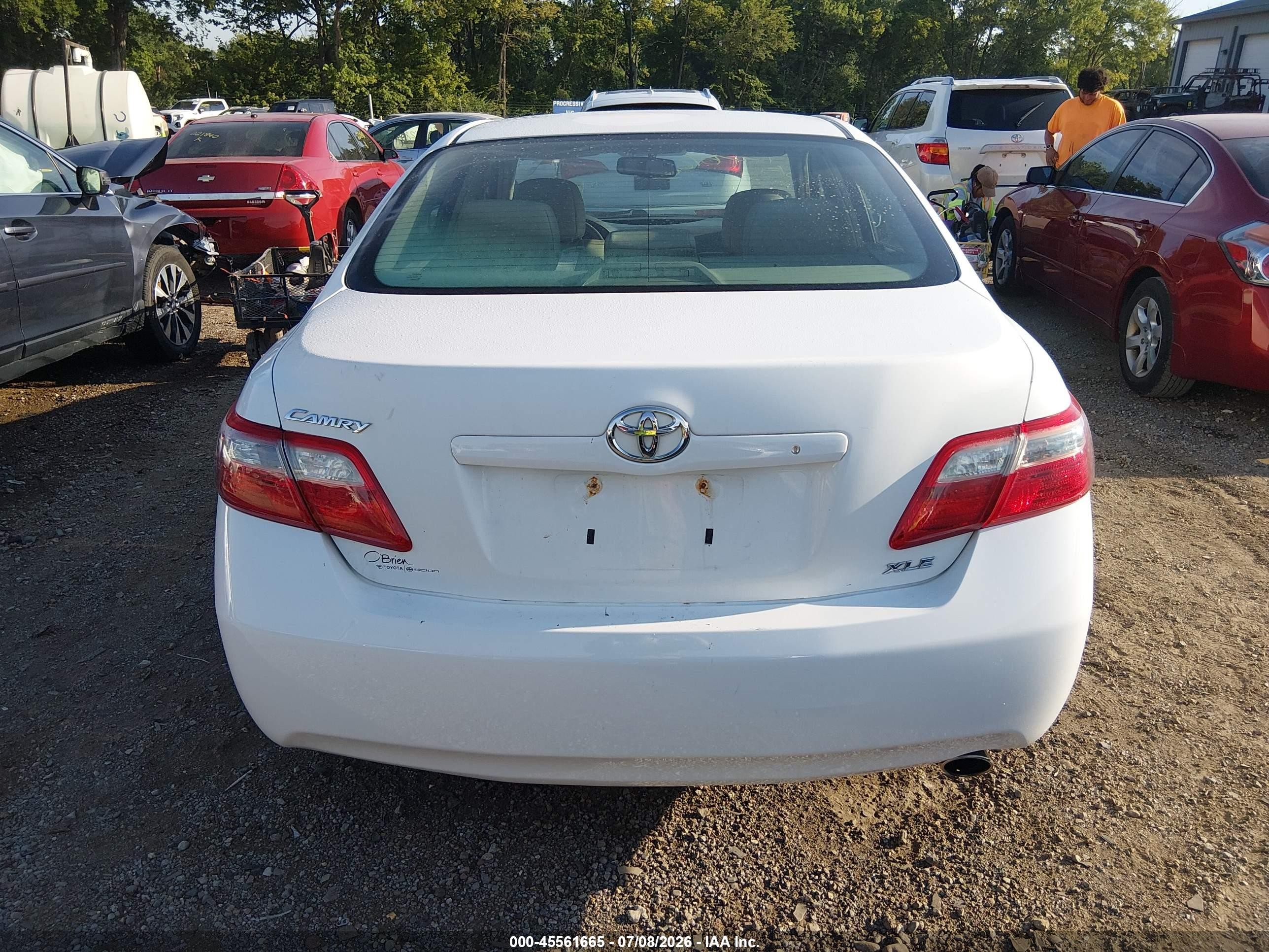2009 Toyota Camry Xle White vin: 4T4BE46K39R051980