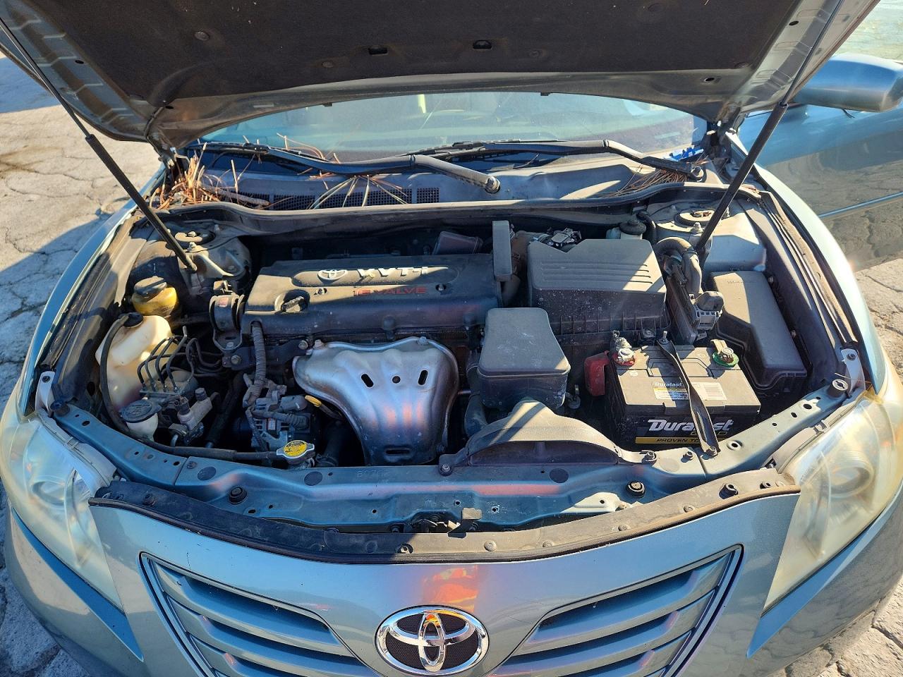 2009 Toyota Camry Le Green vin: 4T4BE46K49R081568