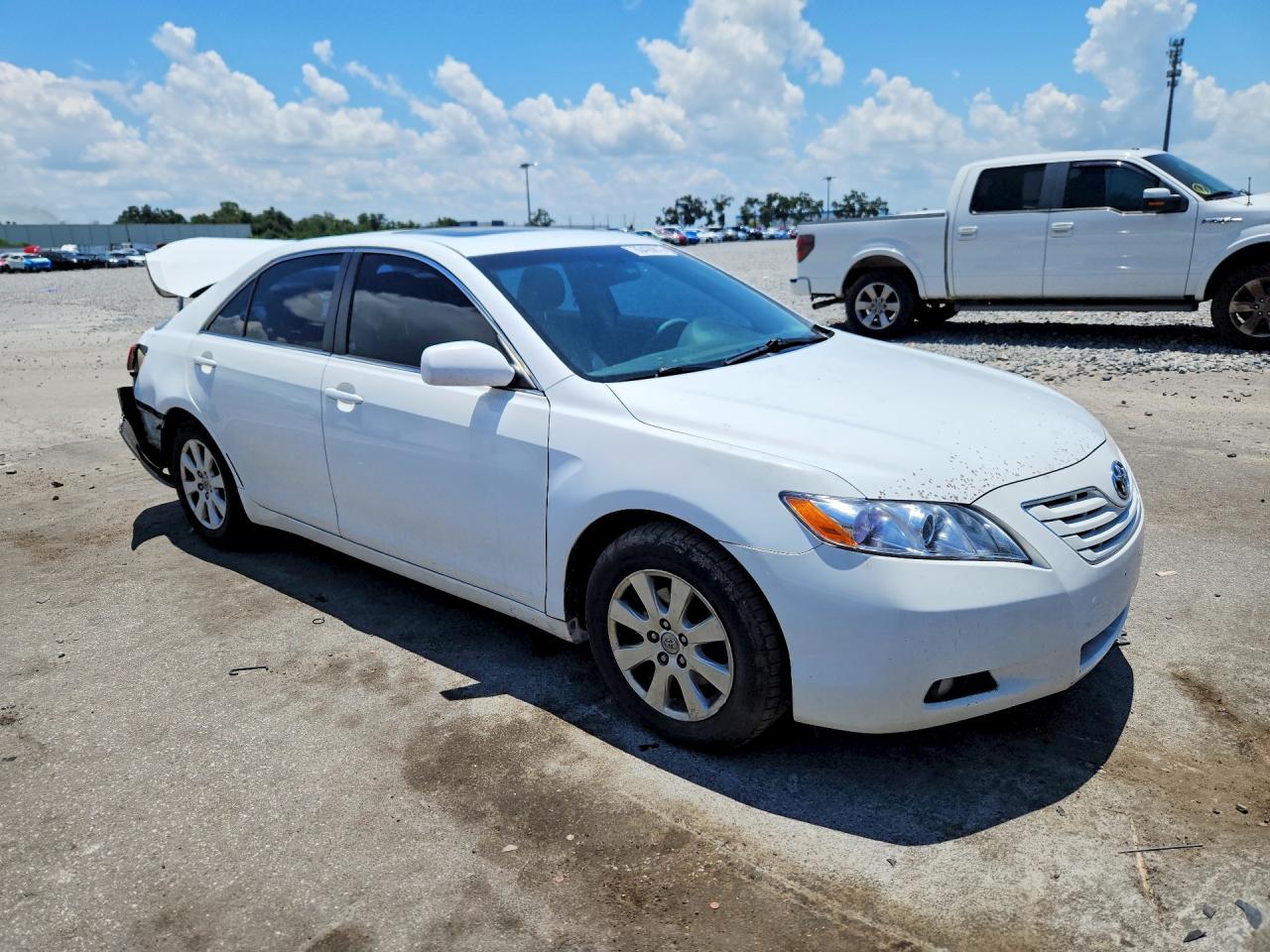 2009 Toyota Camry Xle Белый vin: 4T4BE46K49R118876
