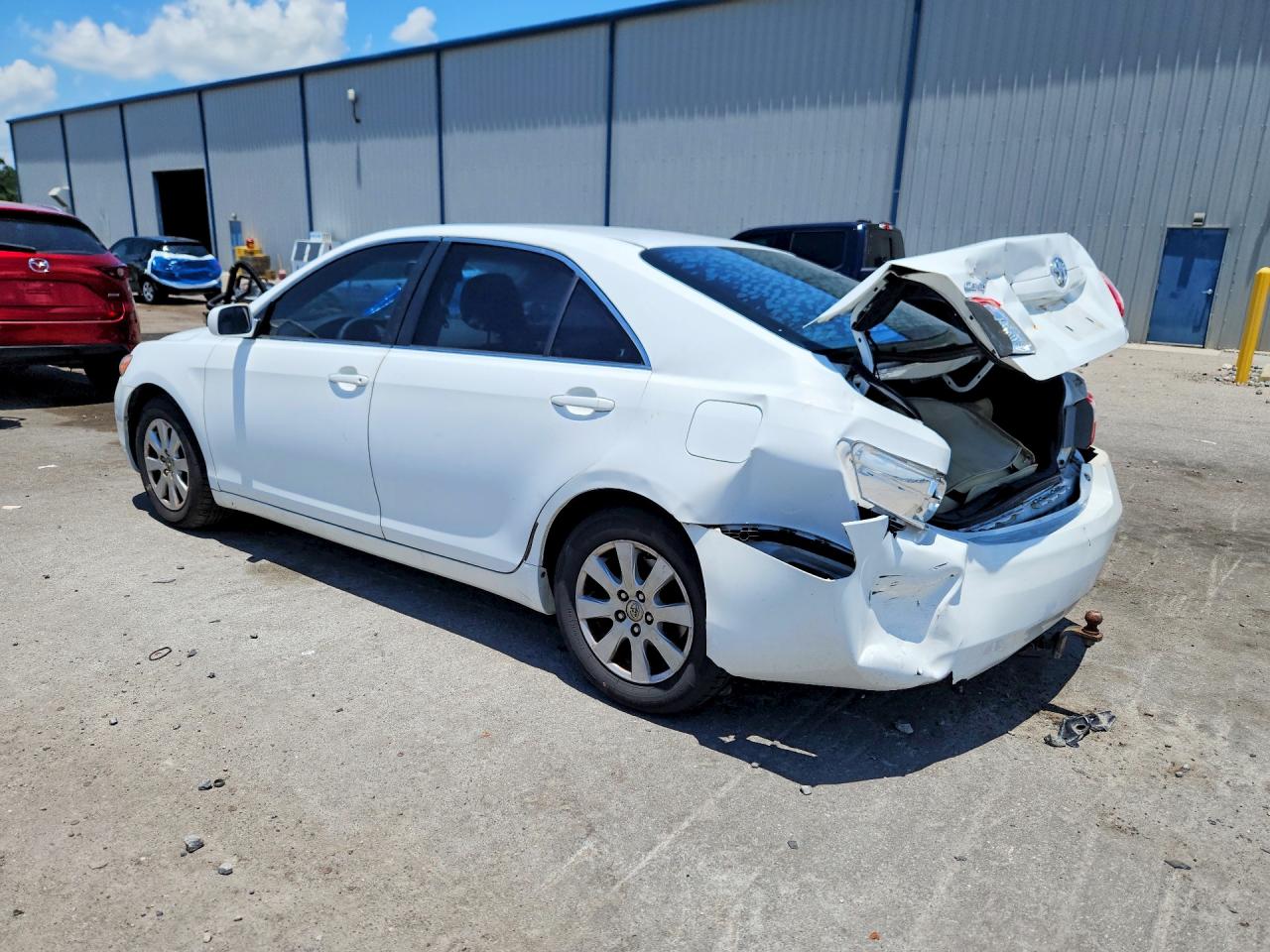 2009 Toyota Camry Xle Белый vin: 4T4BE46K49R118876
