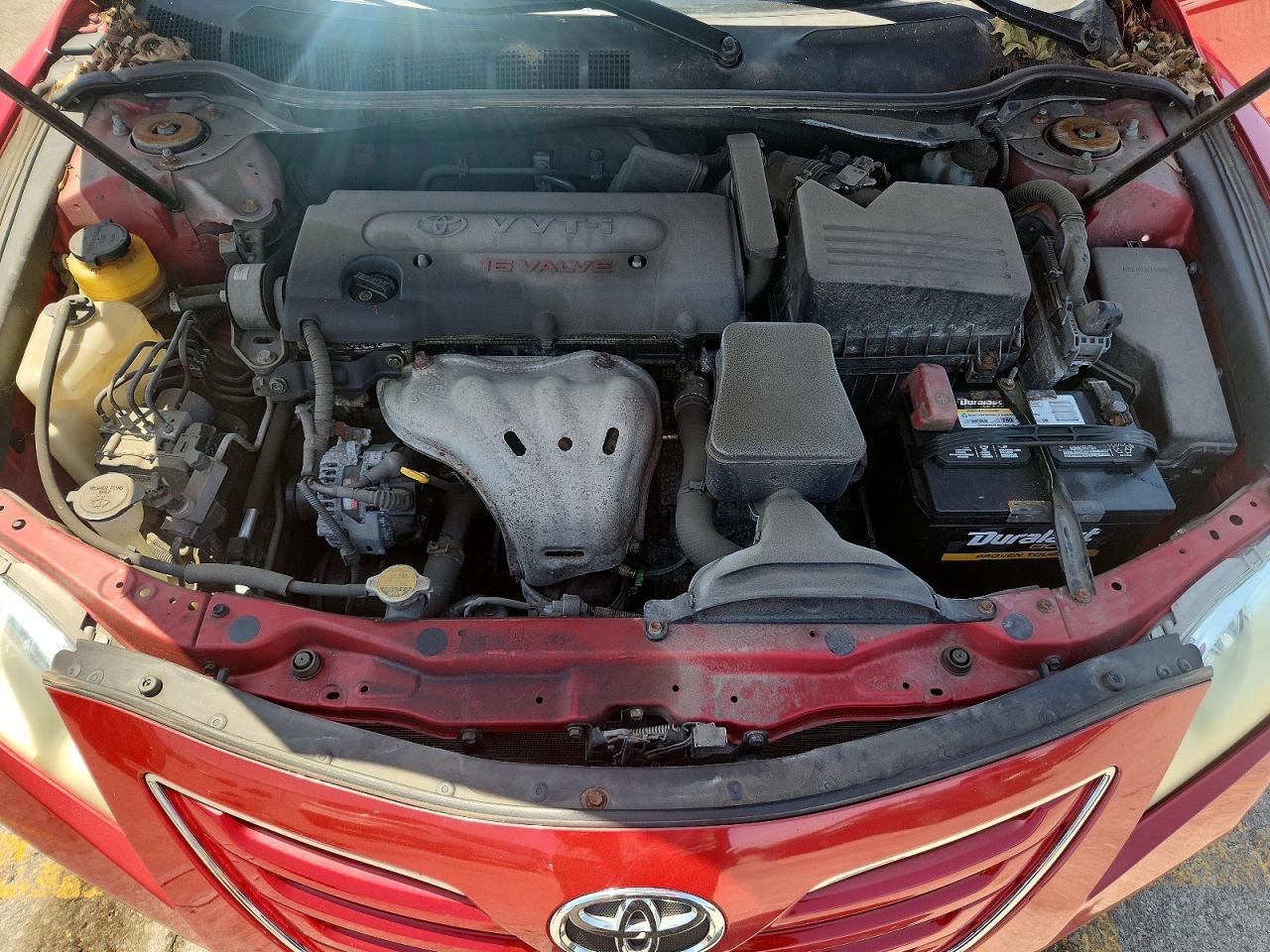 2009 Toyota Camry Xle Red vin: 4T4BE46K69R052184