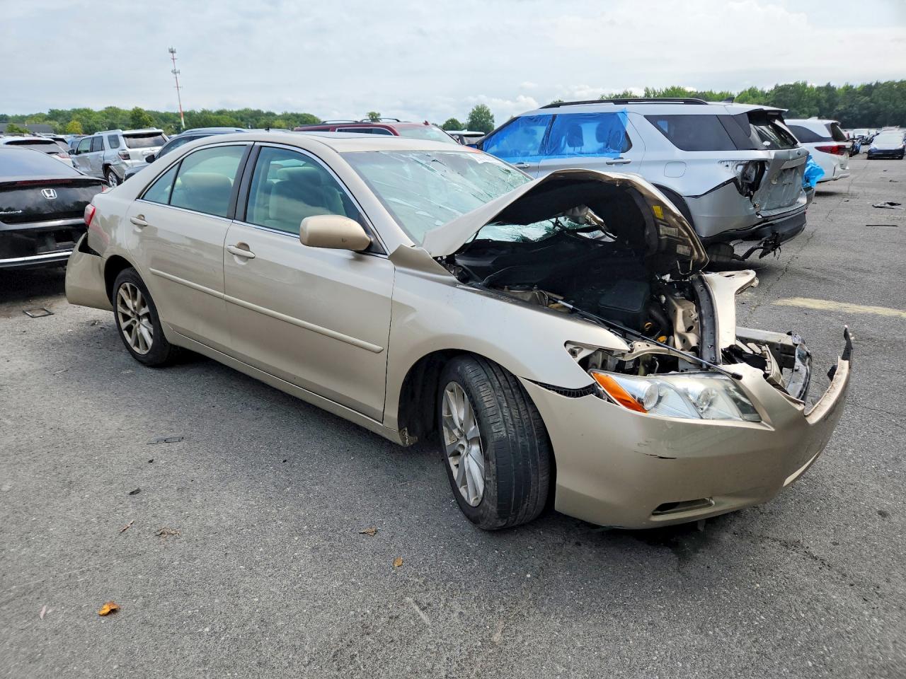 2009 Toyota Camry Le Gold vin: 4T4BE46K69R101576