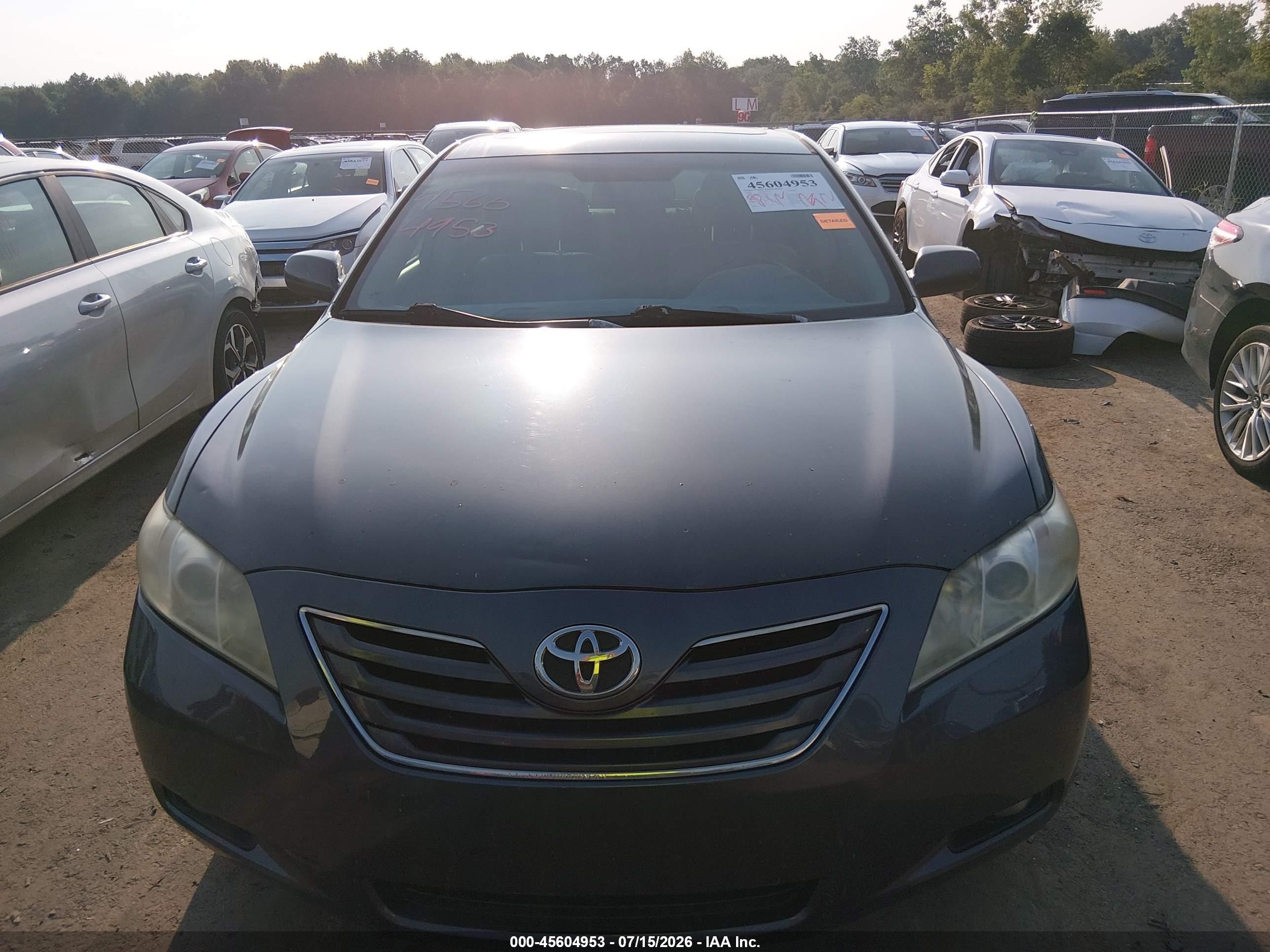2009 Toyota Camry Xle Gray vin: 4T4BE46K69R105370