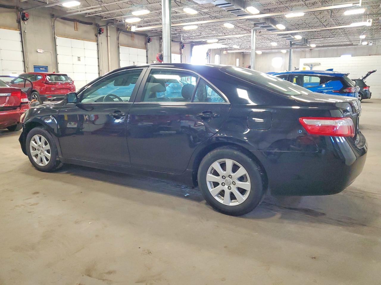 2009 Toyota Camry Xle Черный vin: 4T4BE46K69R117308