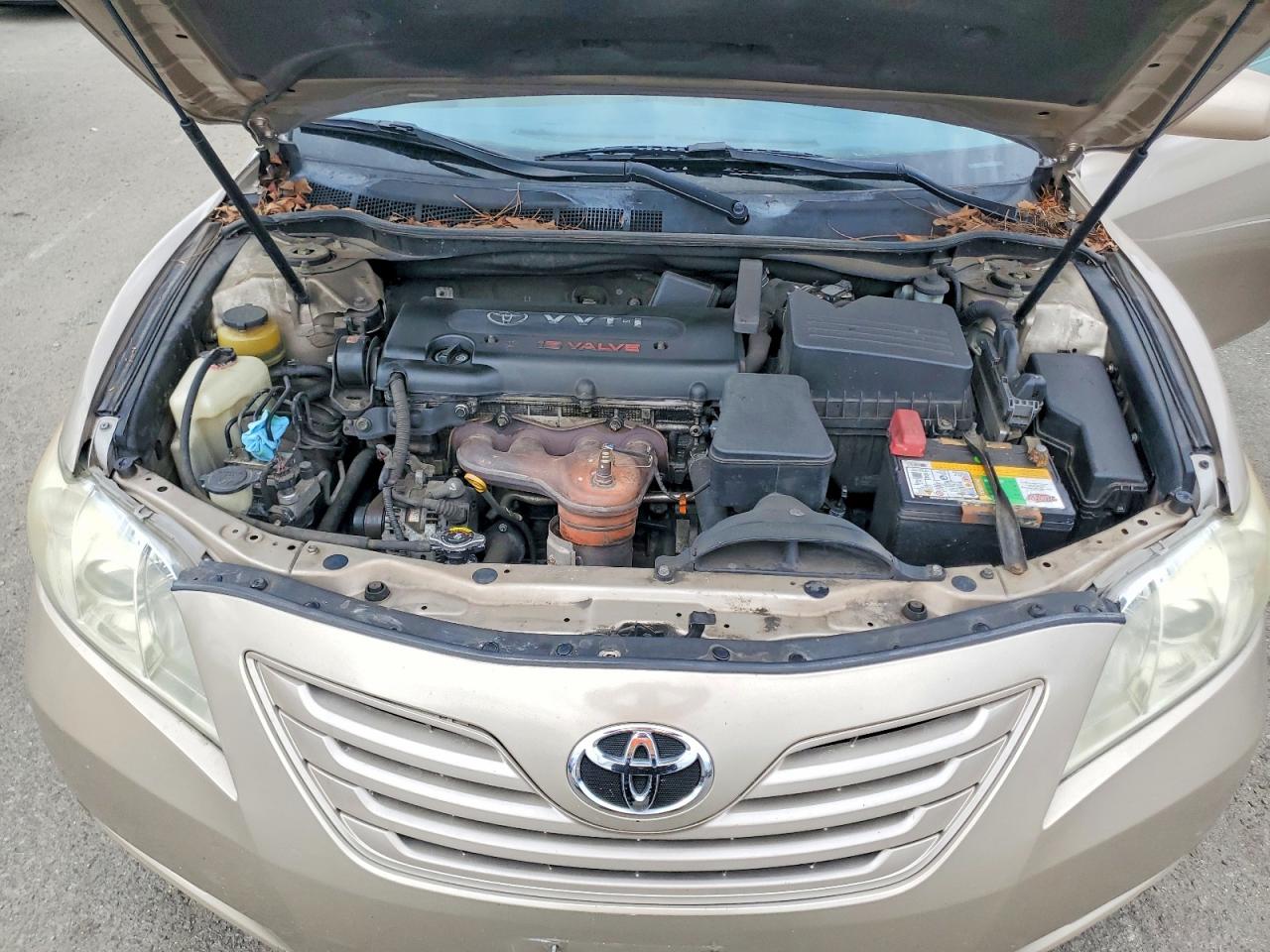 2009 Toyota Camry Le Beige vin: 4T4BE46K79R061900