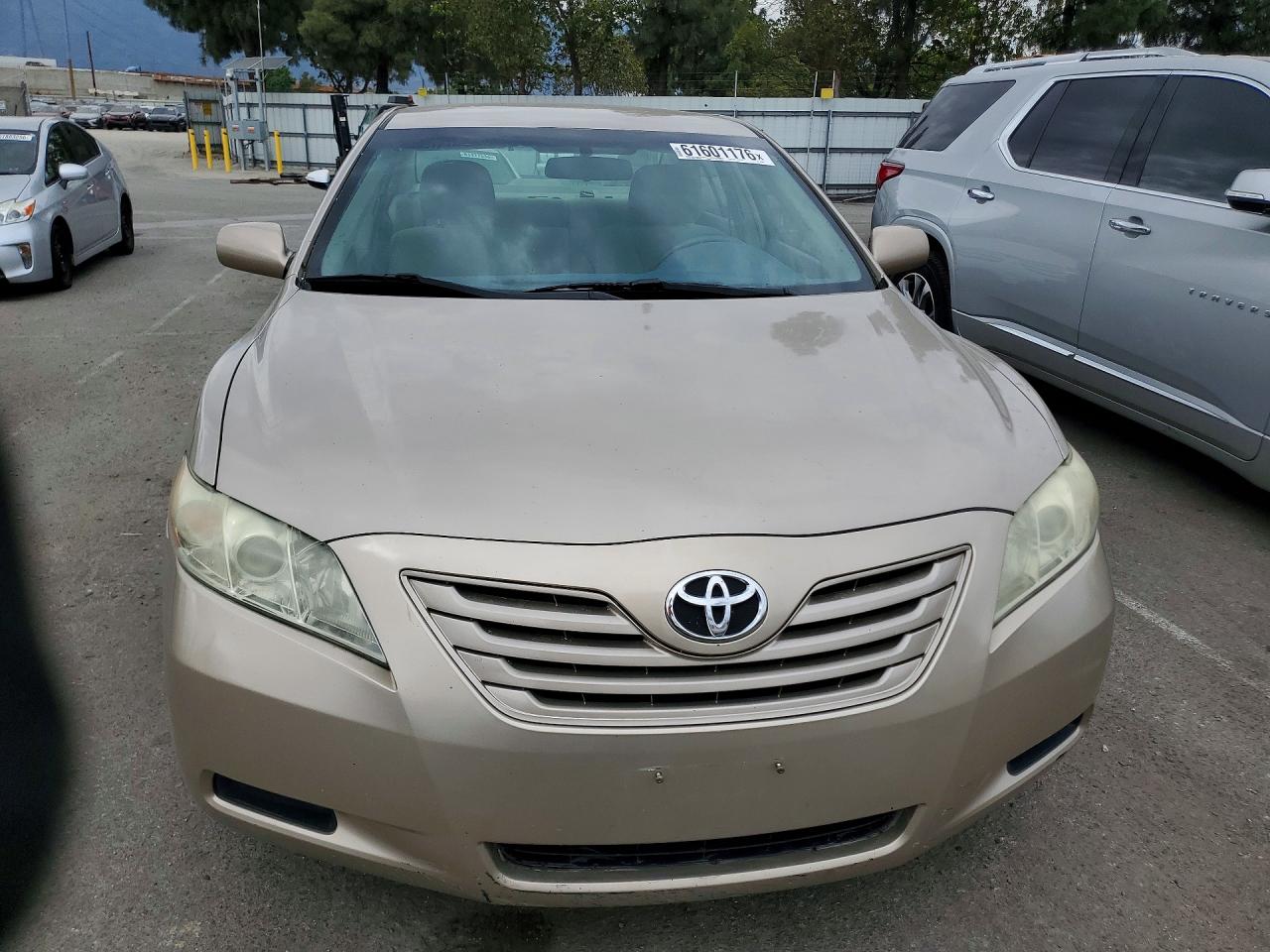 2009 Toyota Camry Le Beige vin: 4T4BE46K79R061900
