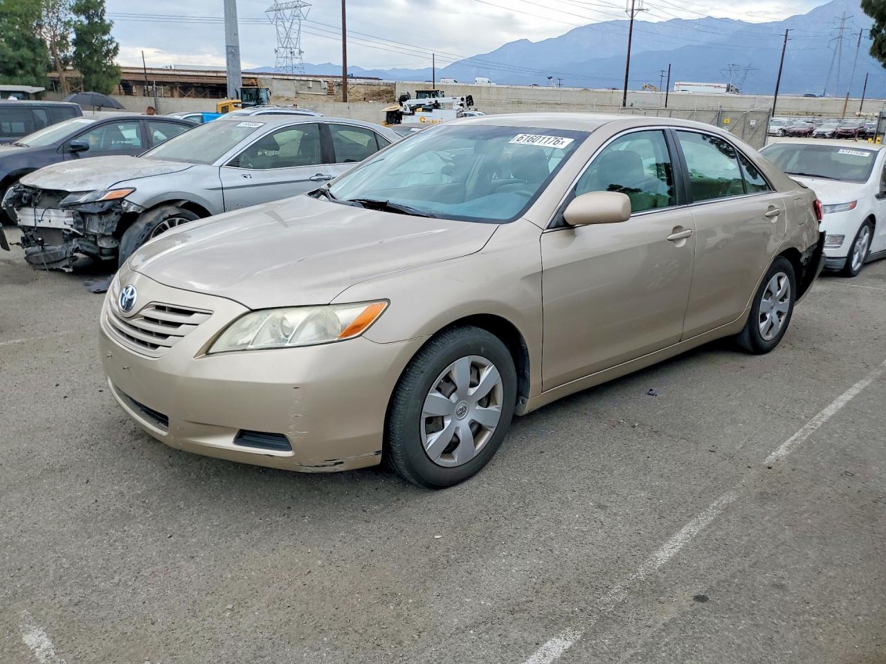 2009 Toyota Camry Le Beige vin: 4T4BE46K79R061900