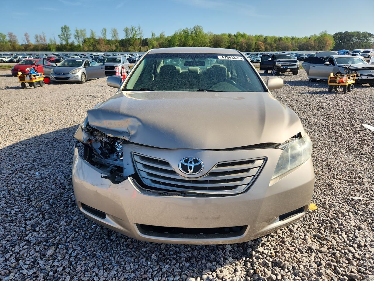 2009 Toyota Camry Le Gold vin: 4T4BE46K79R072590
