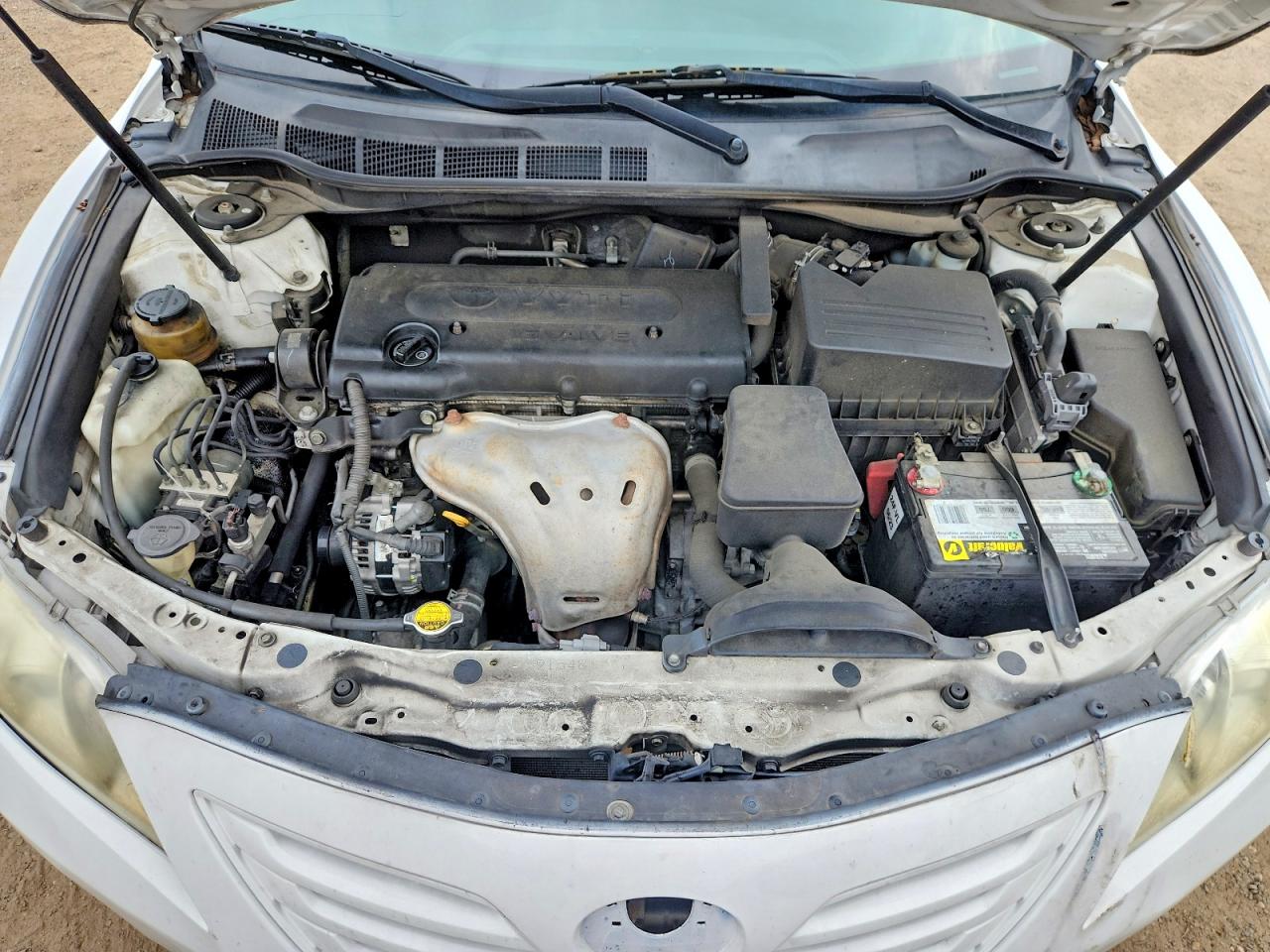 2009 Toyota Camry Белый vin: 4T4BE46K89R092413