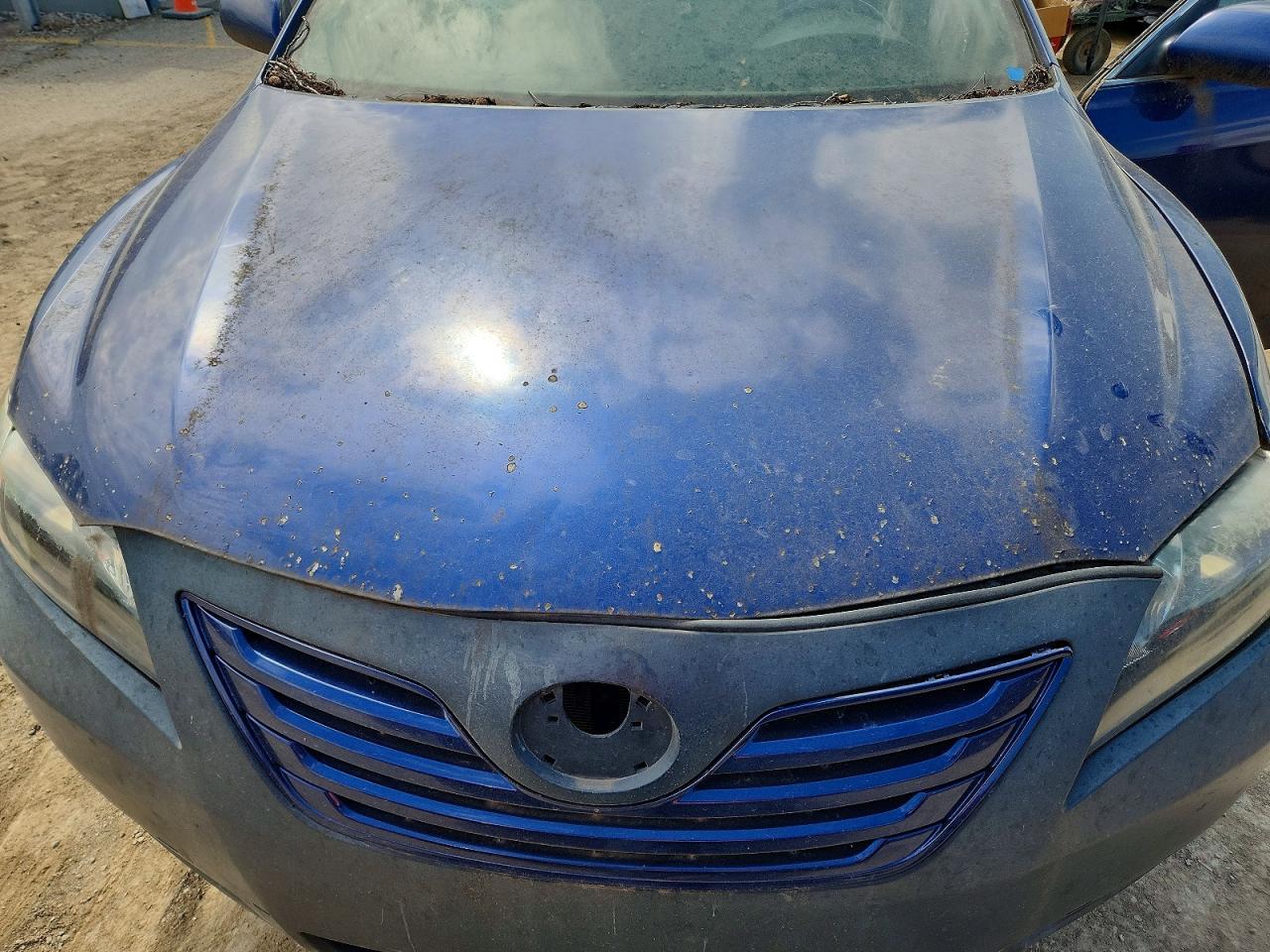 2009 Toyota Camry Le Blue vin: 4T4BE46K89R103359