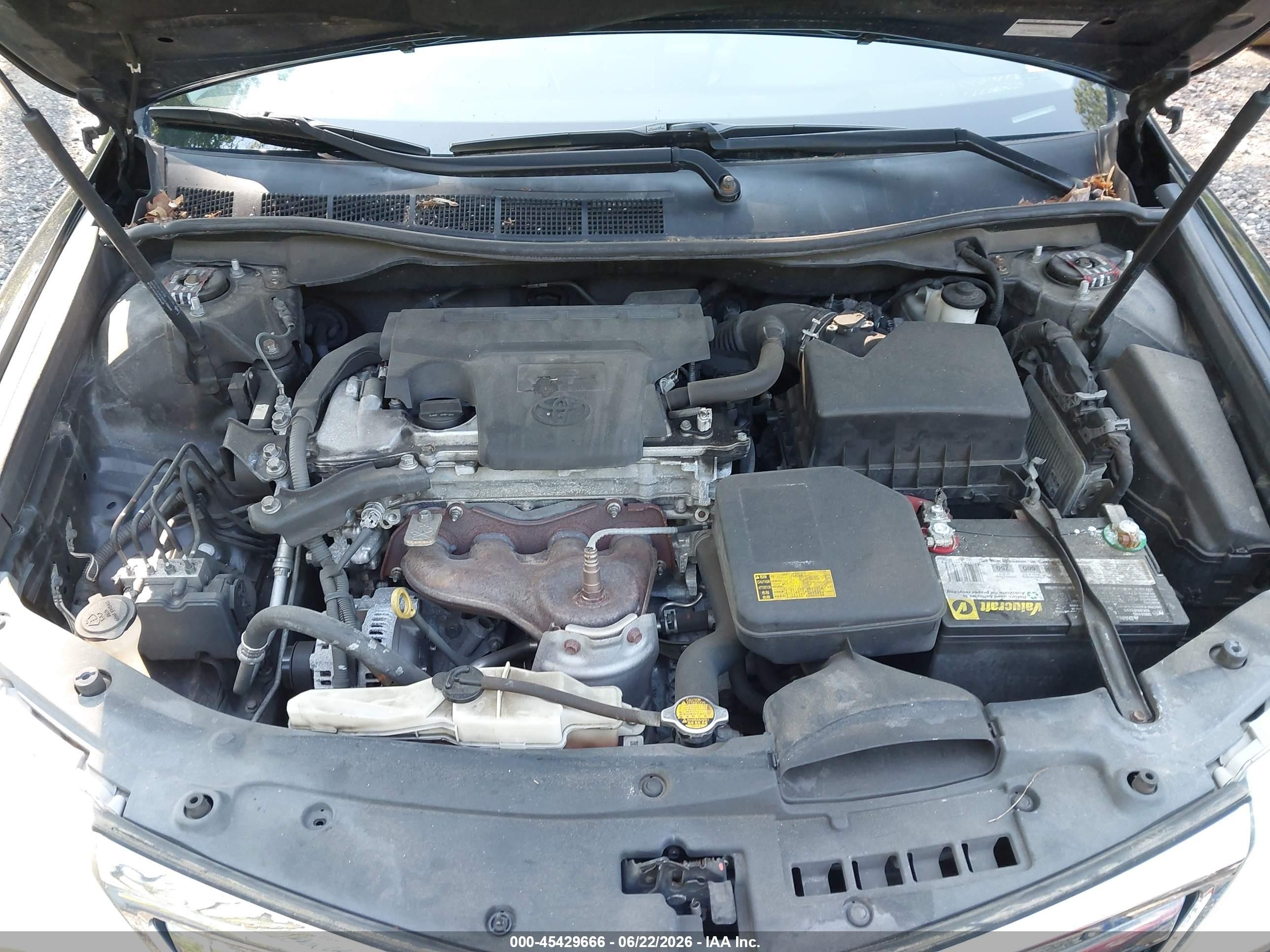 2013 Toyota Camry Xle Black vin: 4T4BF1FK1DR289007