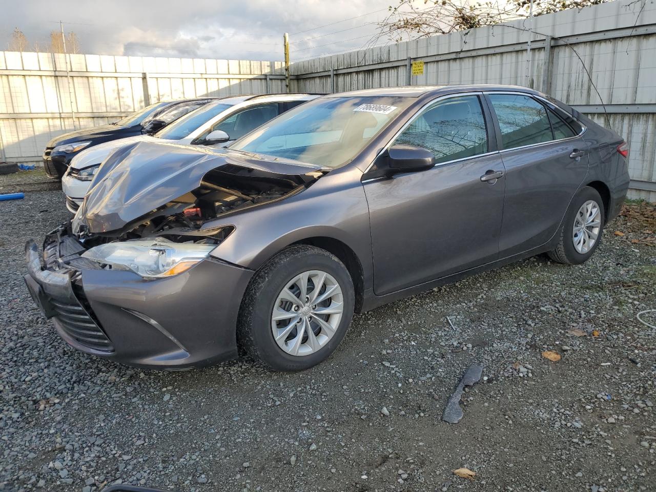 4T4BF1FK7FR481096