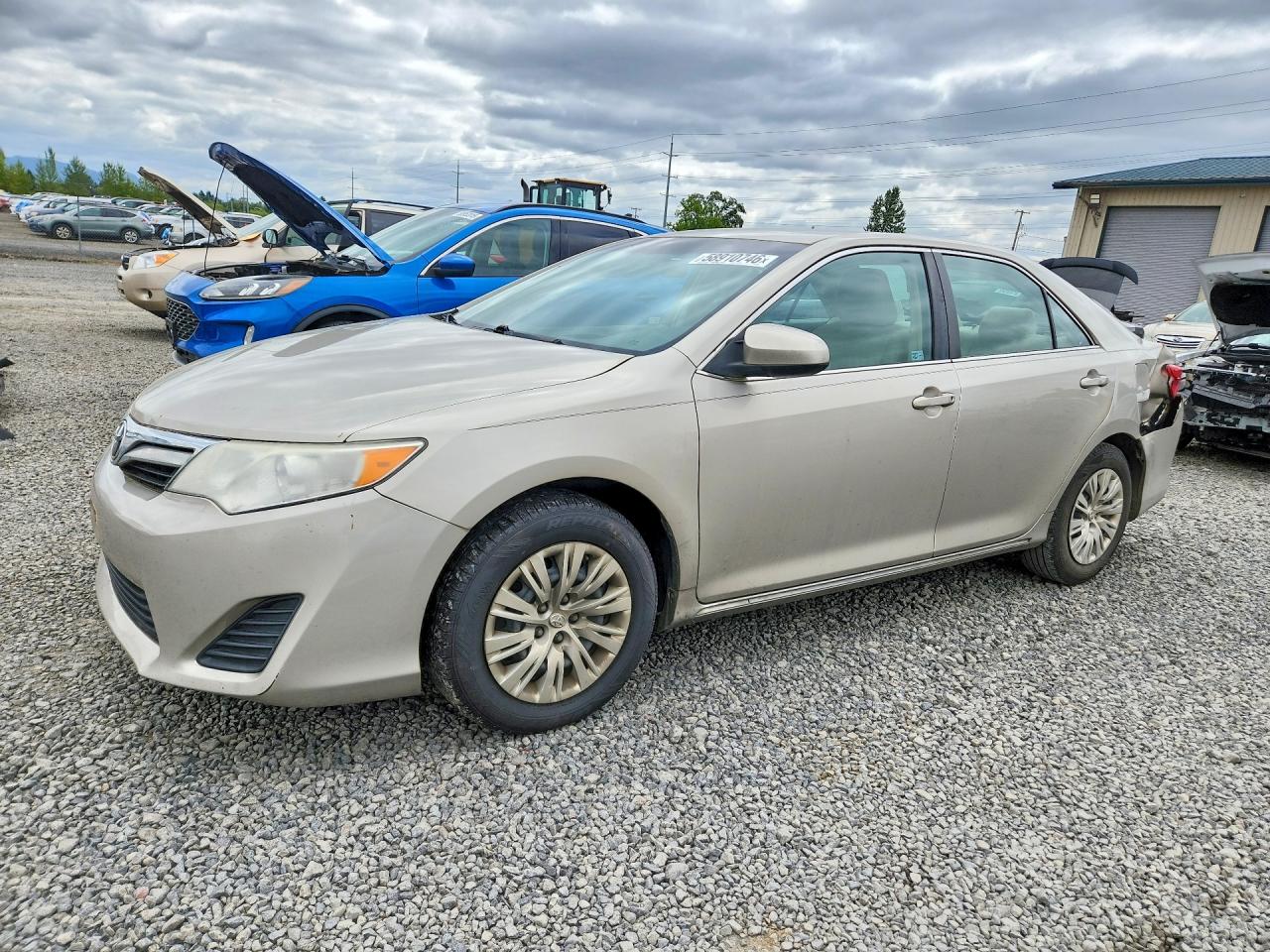 2013 Toyota Camry L Tan vin: 4T4BF1FK8DR334928