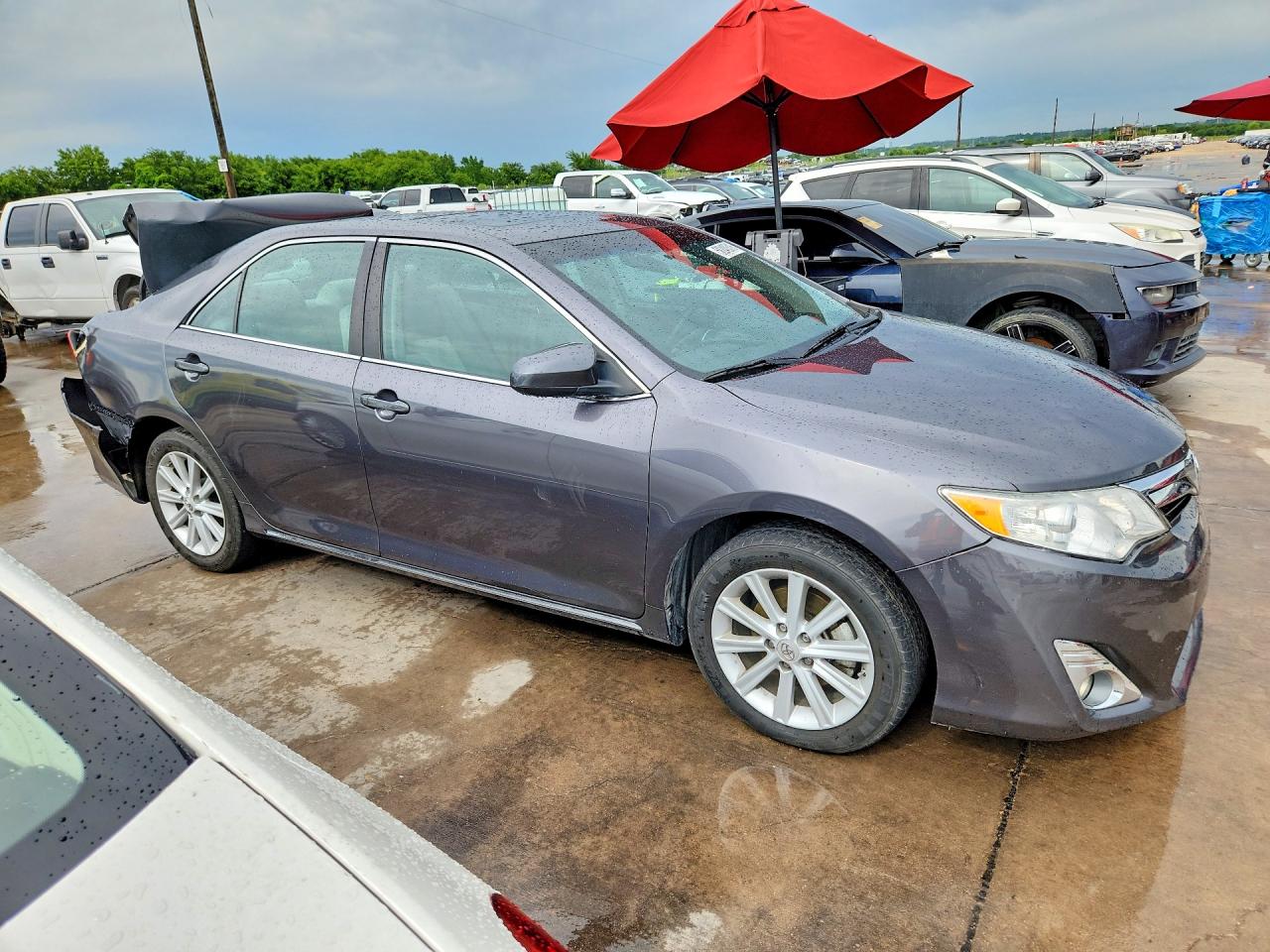 2012 Toyota Camry Xle Gray vin: 4T4BF1FK9CR241303