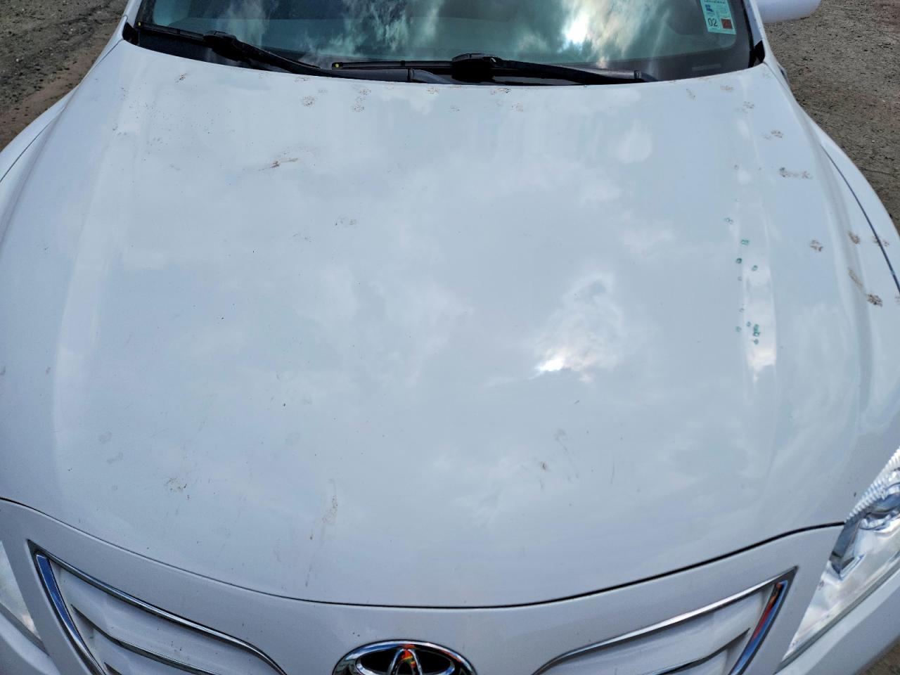 2010 Toyota Camry Xle Белый vin: 4T4BF3EK0AR048676
