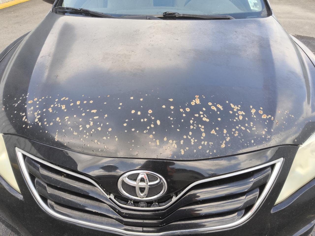 2010 Toyota Camry Le Black vin: 4T4BF3EK2AR022824 Damage: Hood, Peeling, > 12 Inches