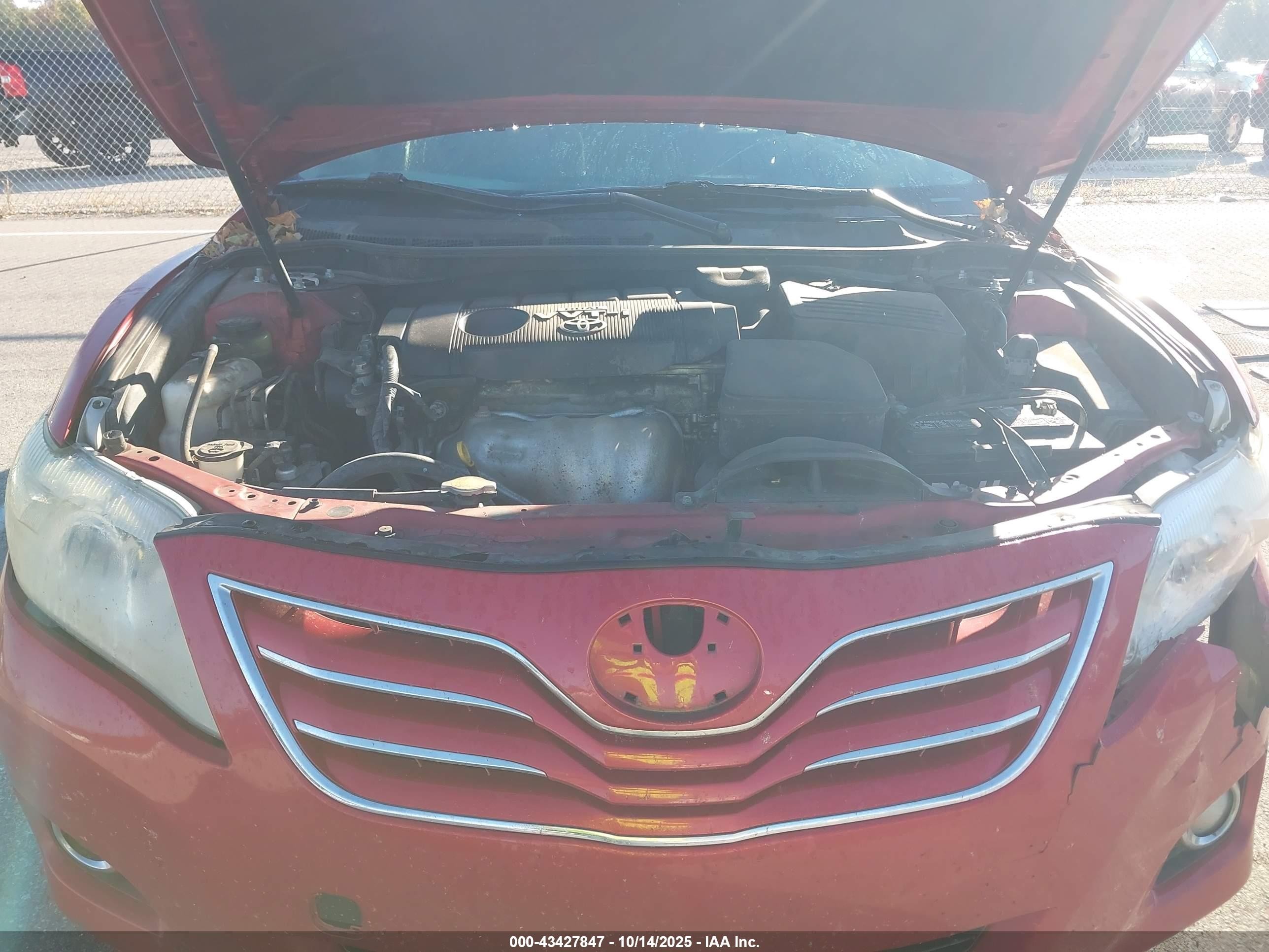 2010 Toyota Camry Xle Red vin: 4T4BF3EK4AR044906
