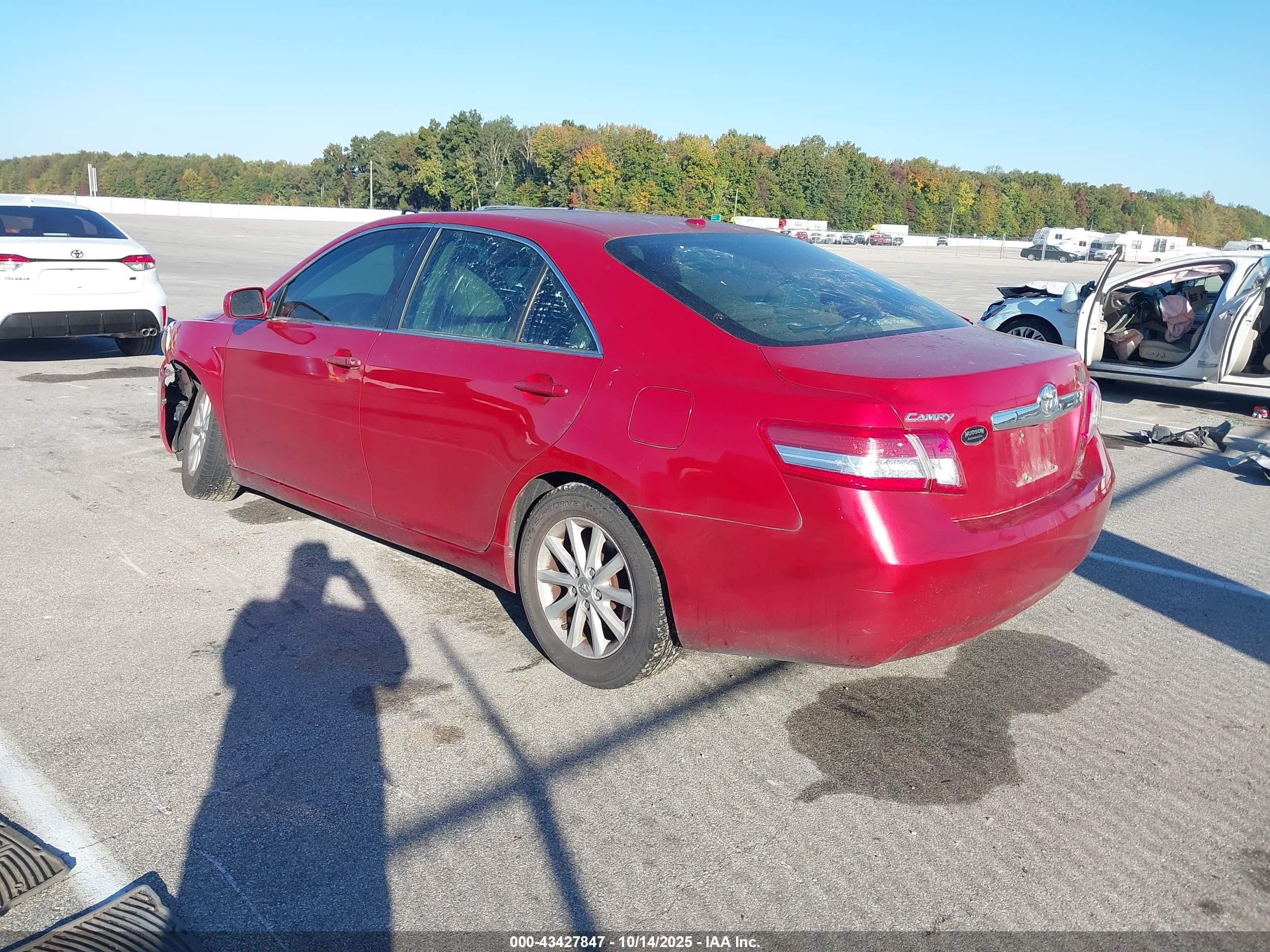 2010 Toyota Camry Xle Red vin: 4T4BF3EK4AR044906