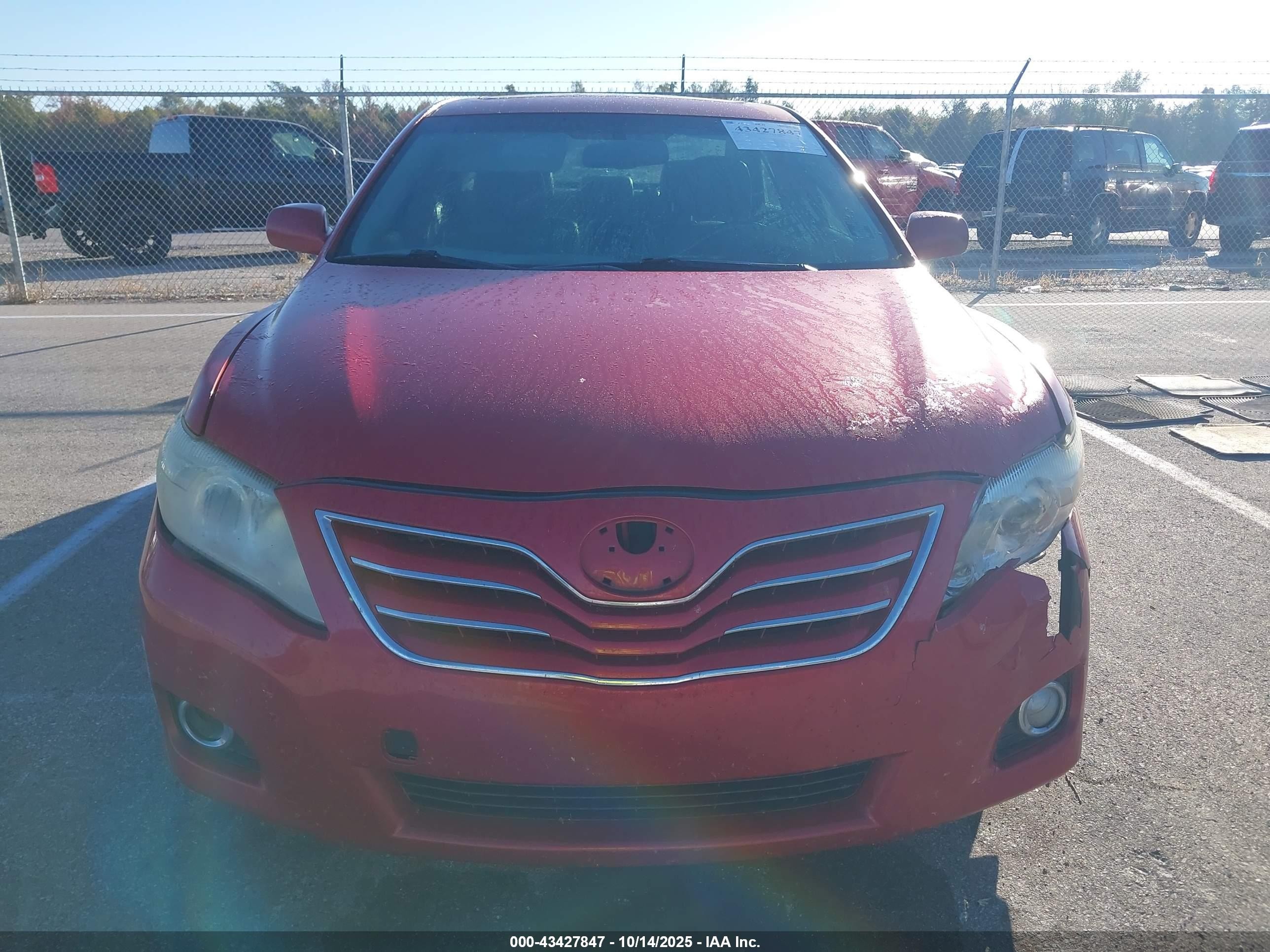 2010 Toyota Camry Xle Red vin: 4T4BF3EK4AR044906