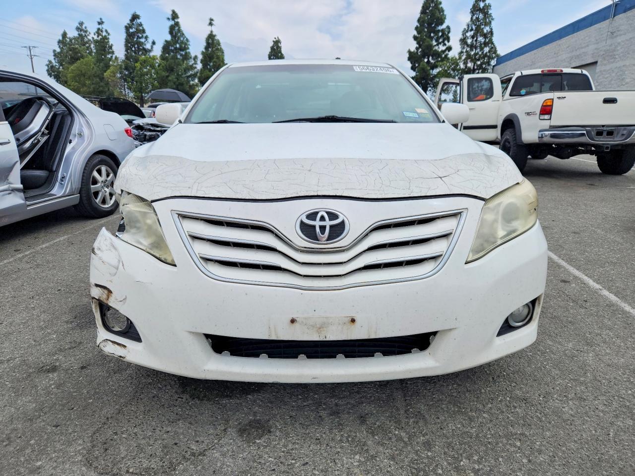 2010 Toyota Camry Xle White vin: 4T4BF3EK5AR010120