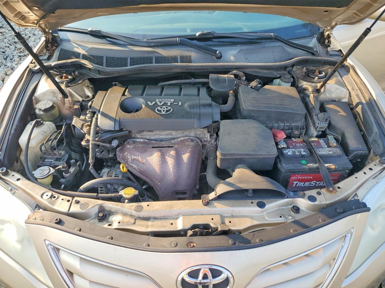 2010 Toyota Camry Le Gold vin: 4T4BF3EK5AR026284