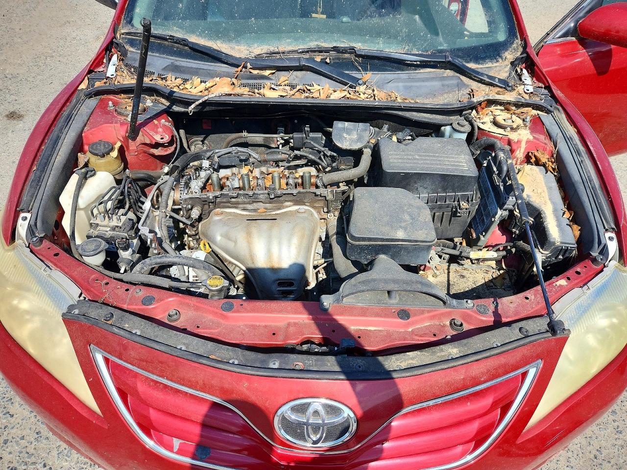 2010 Toyota Camry Le Red vin: 4T4BF3EK7AR056841