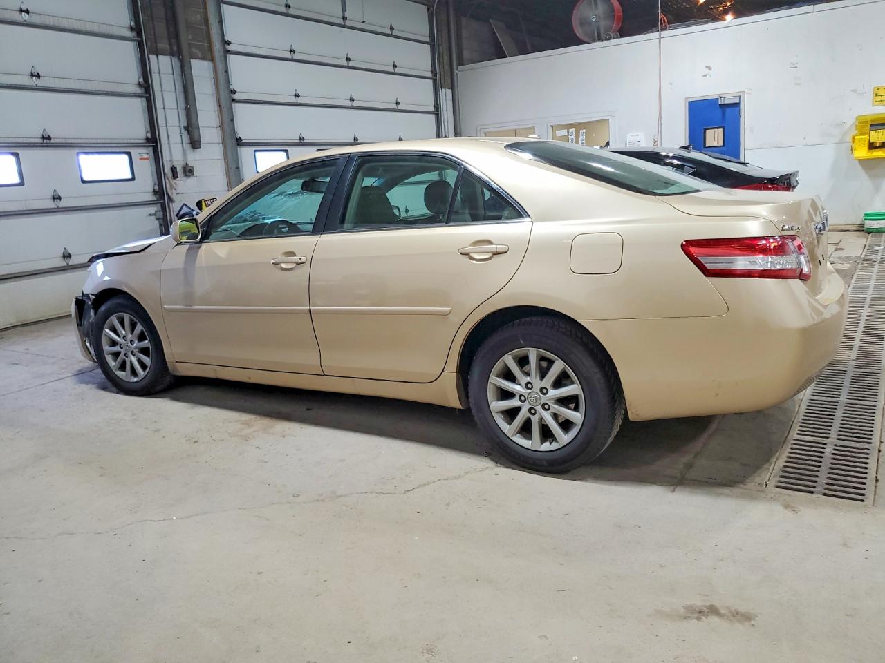 2010 Toyota Camry Xle Gold vin: 4T4BF3EK9AR077643