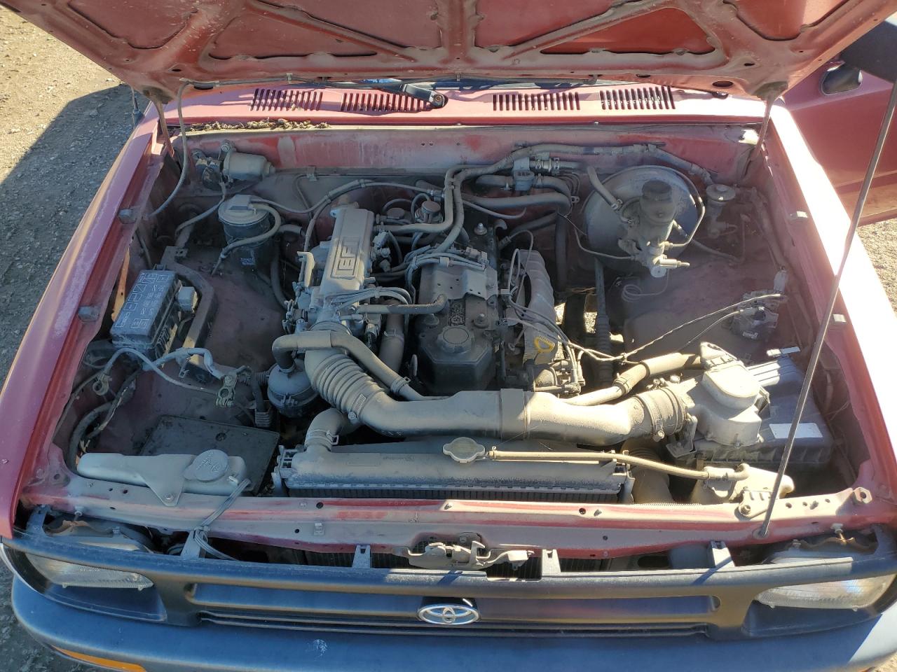 1993 Toyota Pickup 1/2 Ton Short Wheelbase Stb Red vin: 4TARN81A1PZ115030