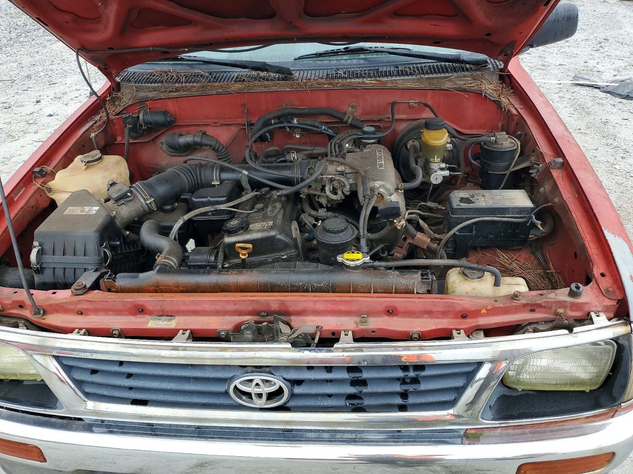 1995 Toyota Tacoma Base Red vin: 4TAUN53BXSZ053196