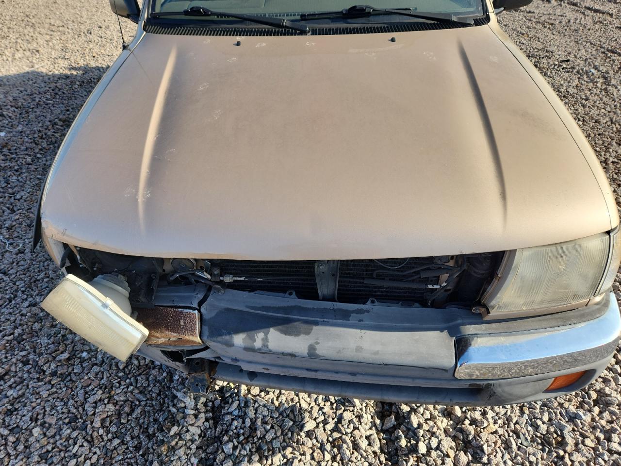 1999 Toyota Tacoma V6 Tan vin: 4TAWN72N1XZ515457