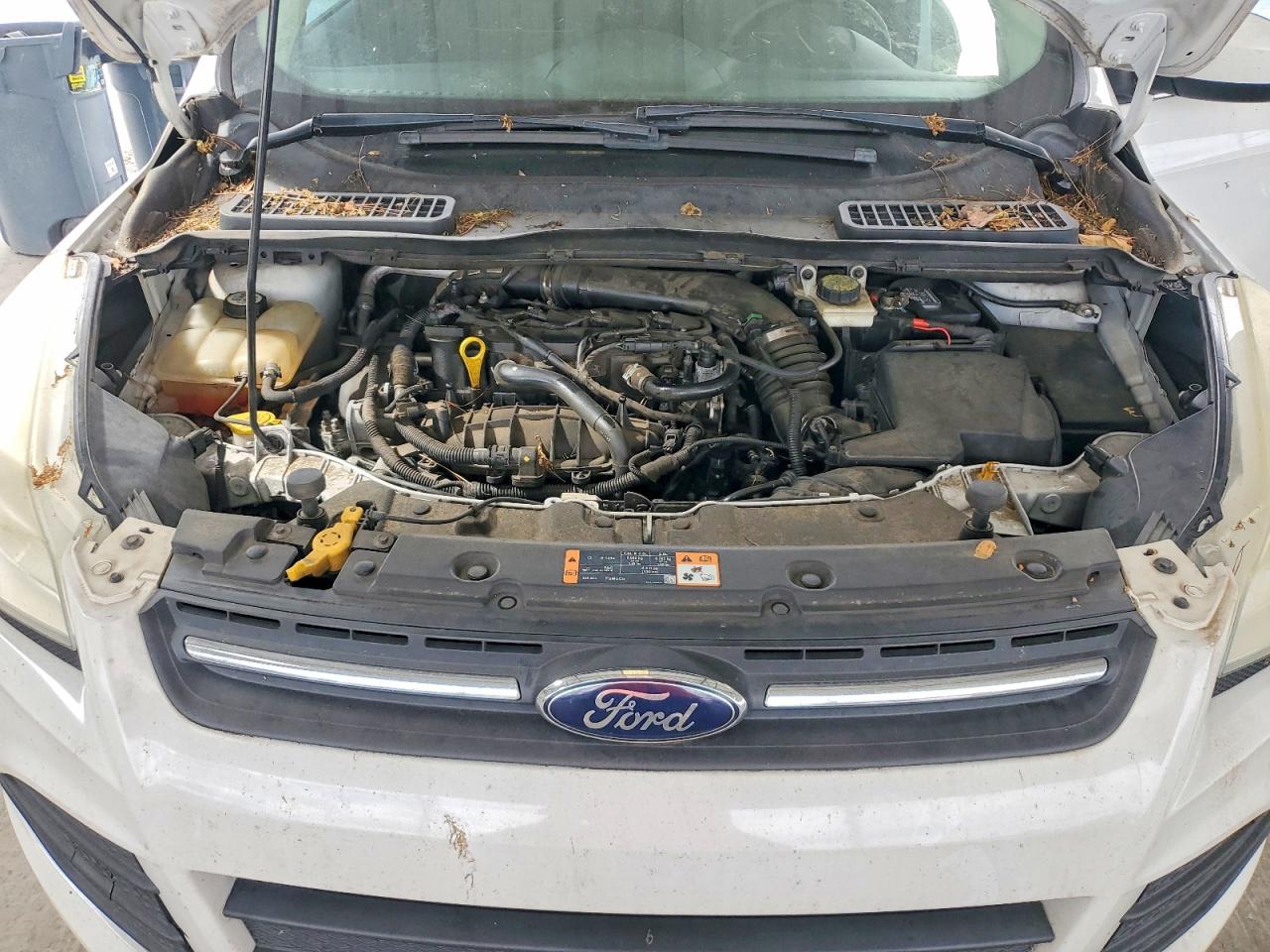2014 Ford Escape Se White vin: 1FMCU9GXXEUE01205