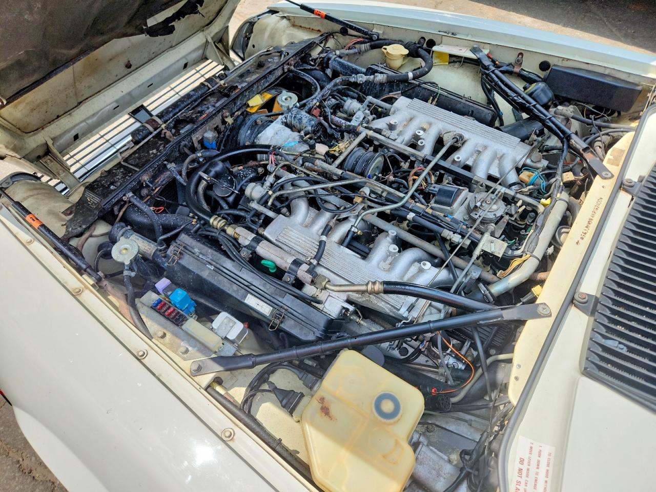 1989 Jaguar Xjs Белый vin: SAJNV4840KC162400