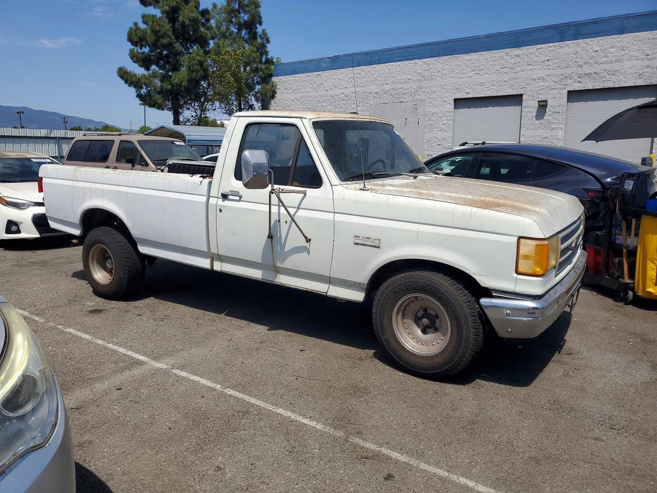 1989 Ford F150 Белый vin: 1FTDF15Y3KPA88962