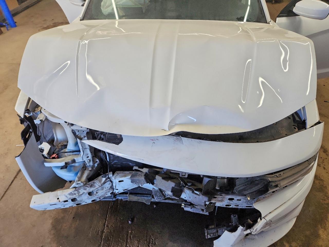 2019 Dodge Charger Sxt Белый vin: 2C3CDXBG3KH741945