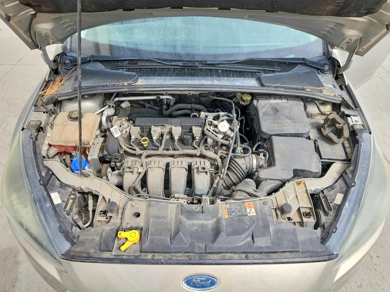 2015 Ford Focus Se Beige vin: 1FADP3K21FL283129