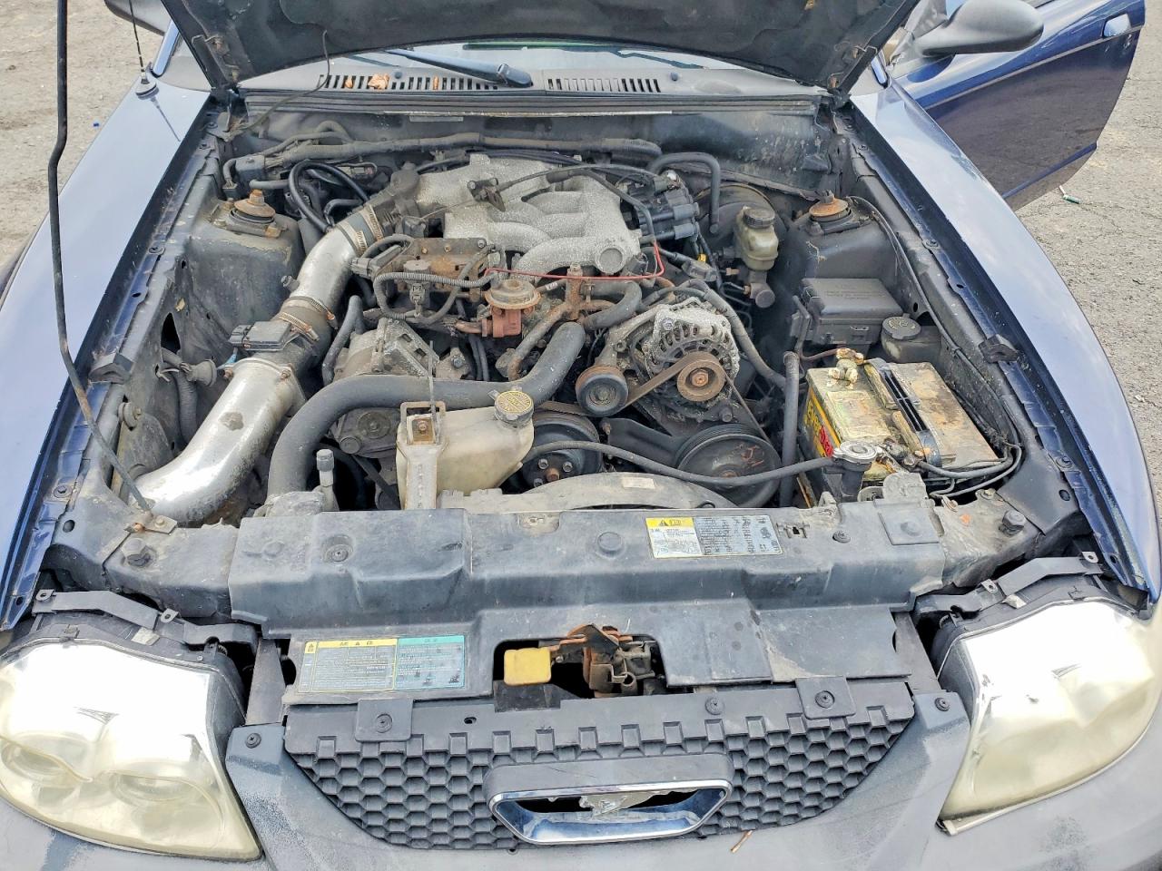 2003 Ford Mustang Синий vin: 1FAFP40443F317755