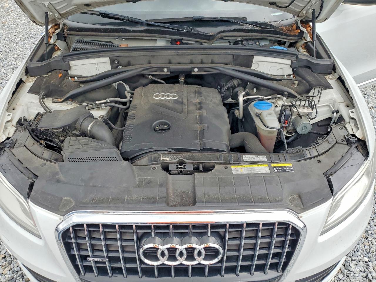 2014 Audi Q5 Premium Plus Белый vin: WA1LFAFP4EA131031