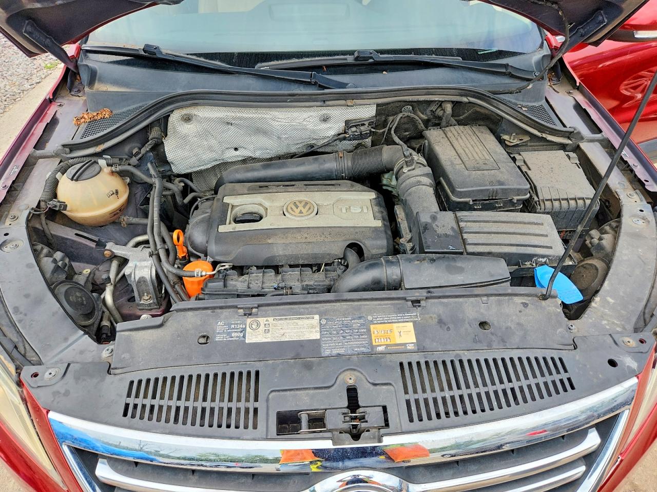 2009 Volkswagen Tiguan Se Красный vin: WVGBV75N49W537290