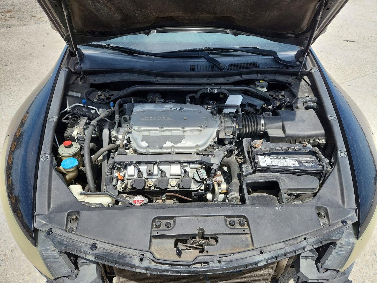 2010 Honda Accord Exl Black vin: 1HGCS2B86AA010275